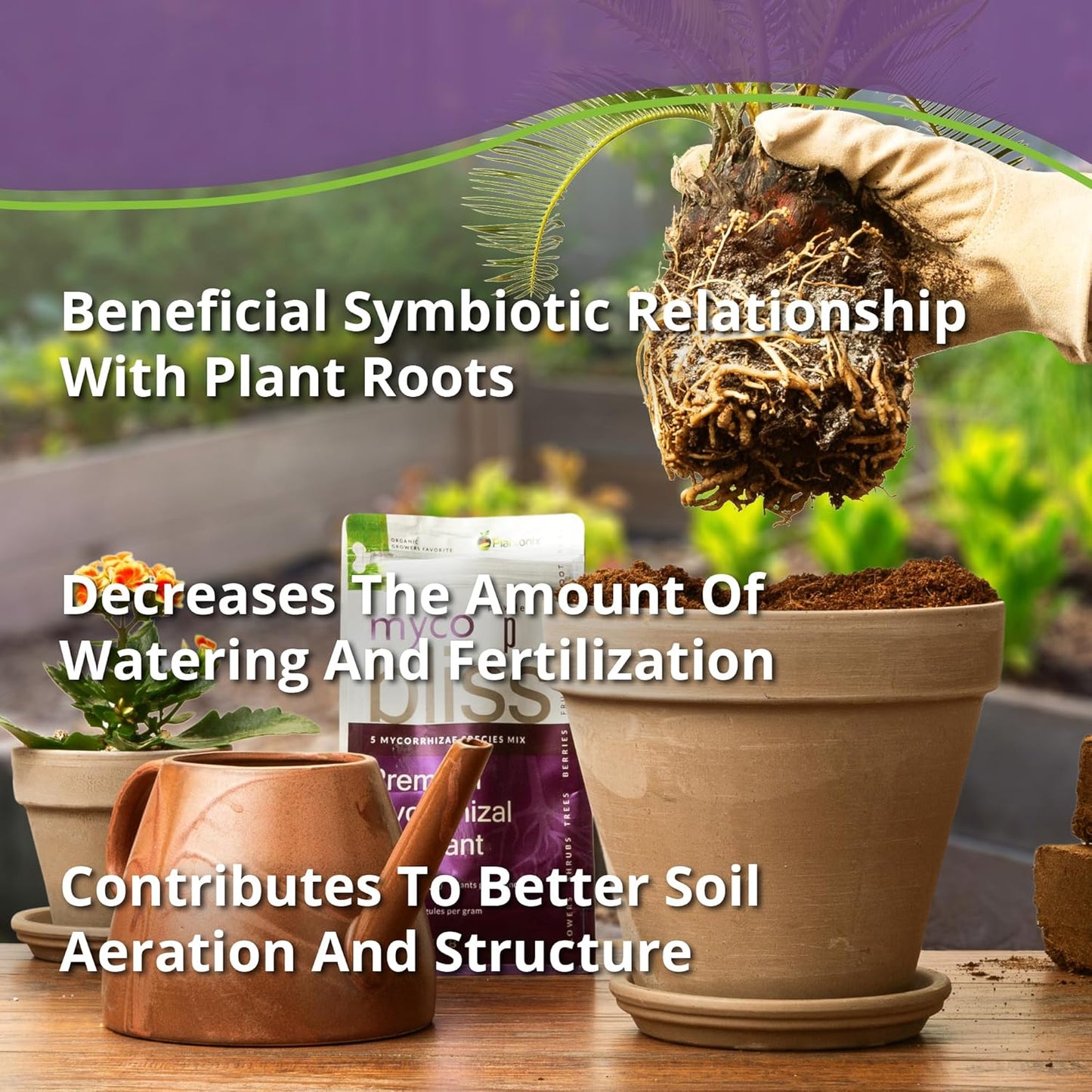 Myco Bliss Granular (200 g) - Mycorrhizal Fungi for Plants - 5 Strain Mycorrhizal Inoculant with 1000 Propagules Per Gram - Highly Concentrated Mycorrhizae for Plants, Potting Soil, & Garden Soil