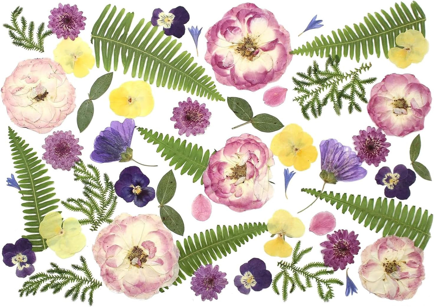 48 Pcs Mix Natural Dried Pressed Flowers for Cake Decorating, Real Dry Flower for Resin Jewelry Making, DIY Art Crafts - Lovely