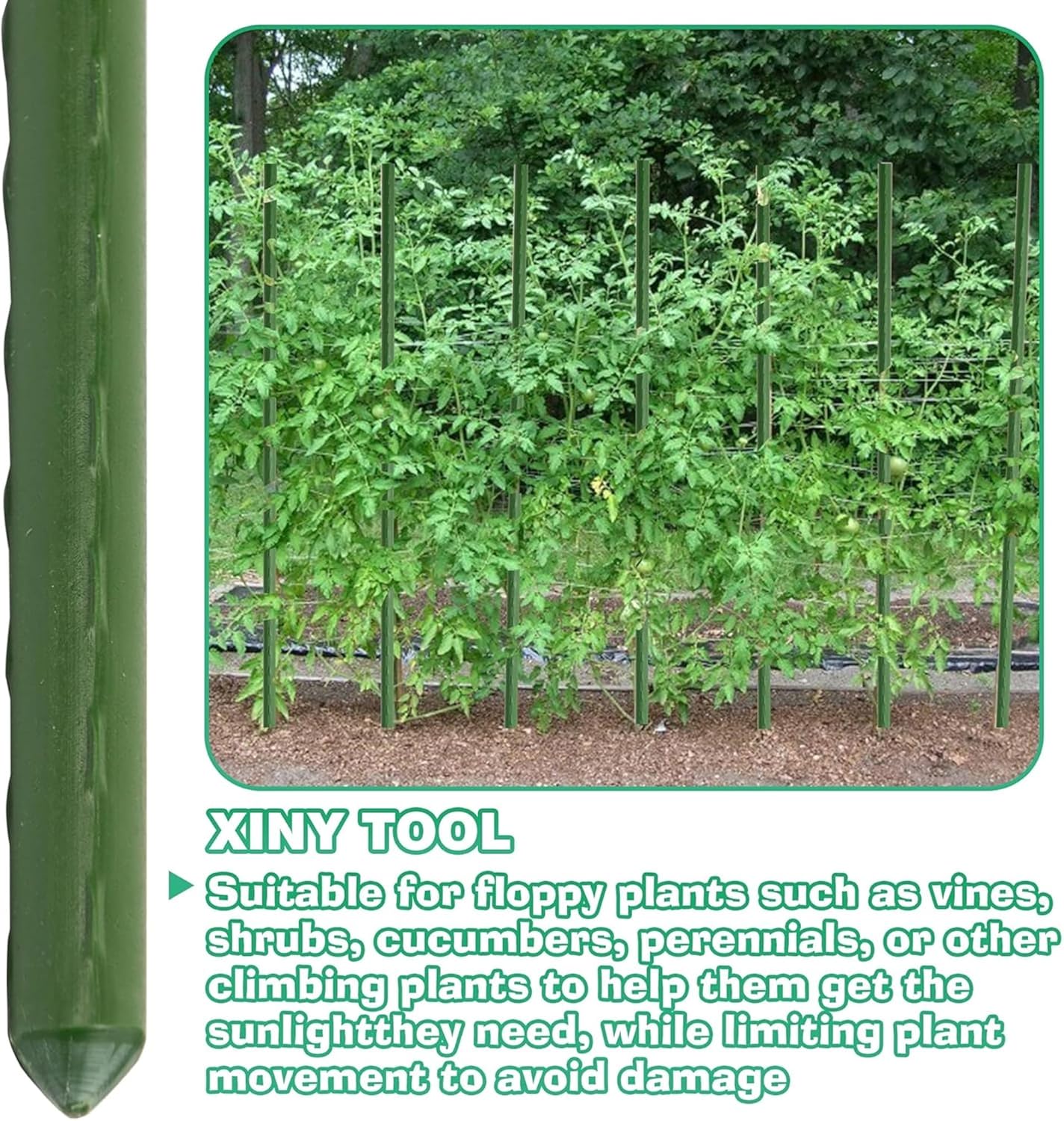 Xiny Tool Garden Stakes, 15 Pack 8 FT Steel Plant Garden Tomato Stakes with Plastic Coat for Climbing Plants (96 Inch)