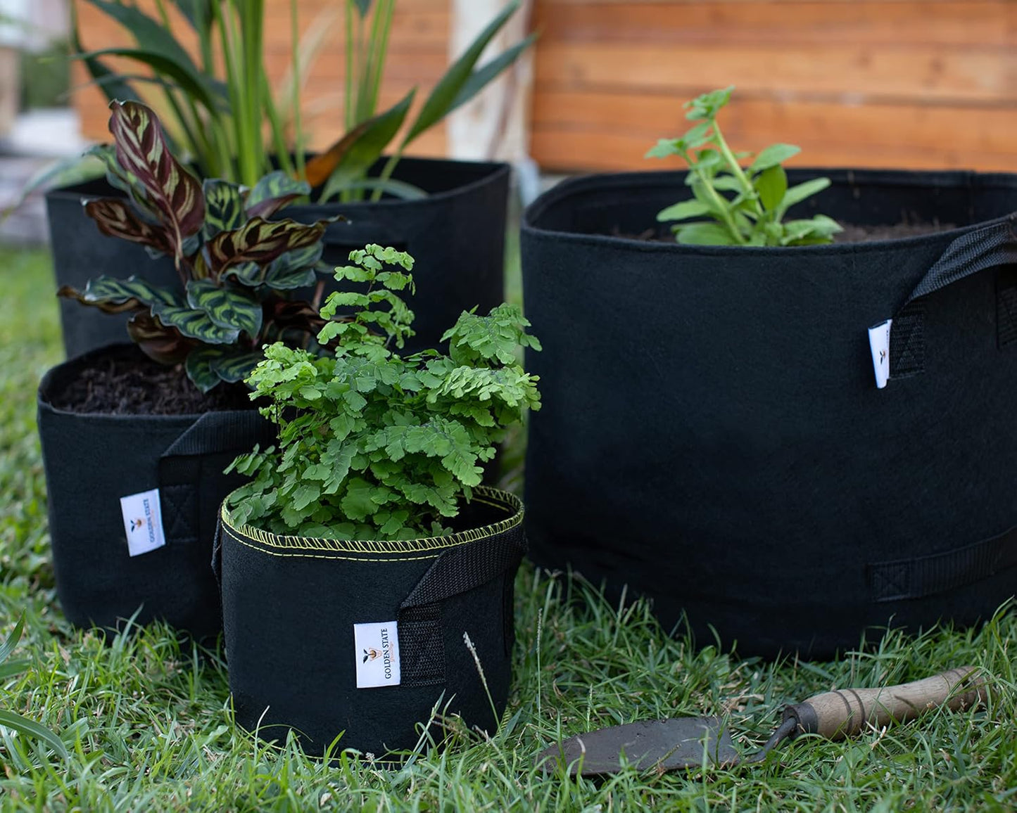 Grow Bags: 5-Pack (Size: 10 Gallon): 300gsm Black Felt Fabric w/Yellow Stitch, Biodegradable and eco-Friendly Material. (Handles + Dumping Handles-pat.Pend).