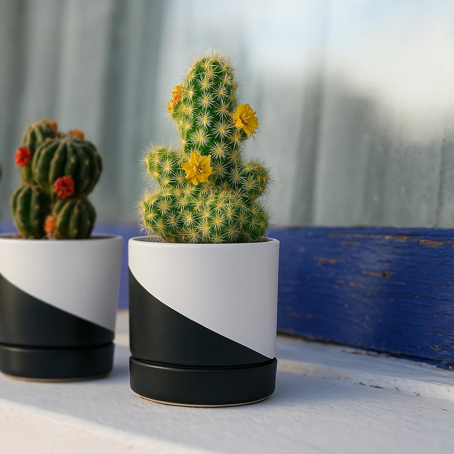 D'vine Dev 3.5 Inch Ceramic Planter Pot with Drainage Hole and Saucer, Indoor Cylinder Round Planter Pot, Oblique Monochrome Black and White, 94-O-A-K