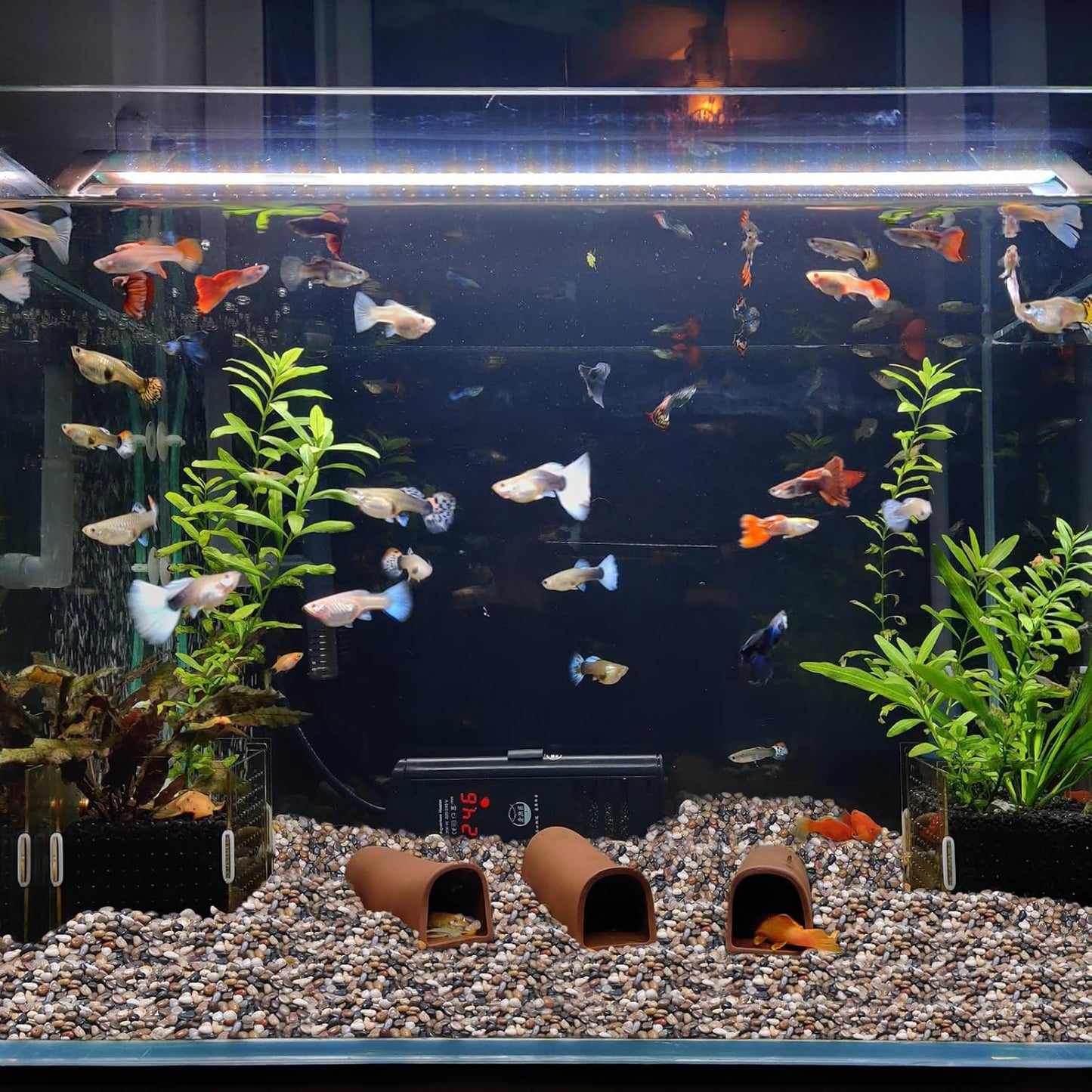 Calofulston 2.2lb Pebbles, 3/8 Inch Small Pebbles for Indoor Plants, Aquariums, Bamboo, Succulent, Vase, Outdoor Landscaping, Decorative Polished Plant Rocks for Pots Indoor, Mixed Color