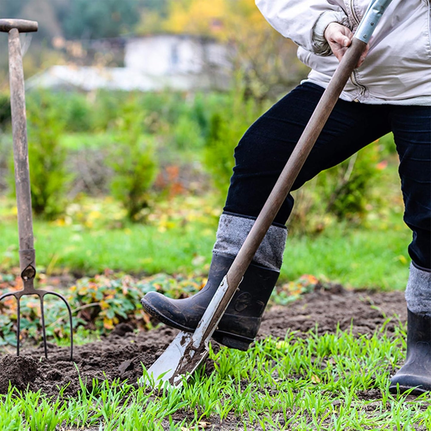Crimson Clover Seeds (Coated) - 5 Lb - Garden Cover Crop, Non-GMO, Open Pollinated, Perennial, Heirloom - Coated for Easy Planting