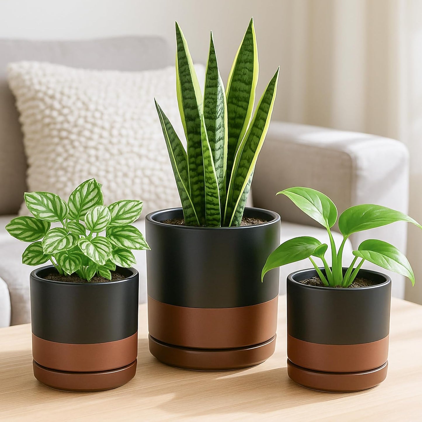 D'vine Dev 4 Inch & 6 Inch & 8 Inch, Set of 3 Round Ceramic Planter Pot with Drainage Hole and Saucer, Black/Speckled Tan, 94-T-M-7