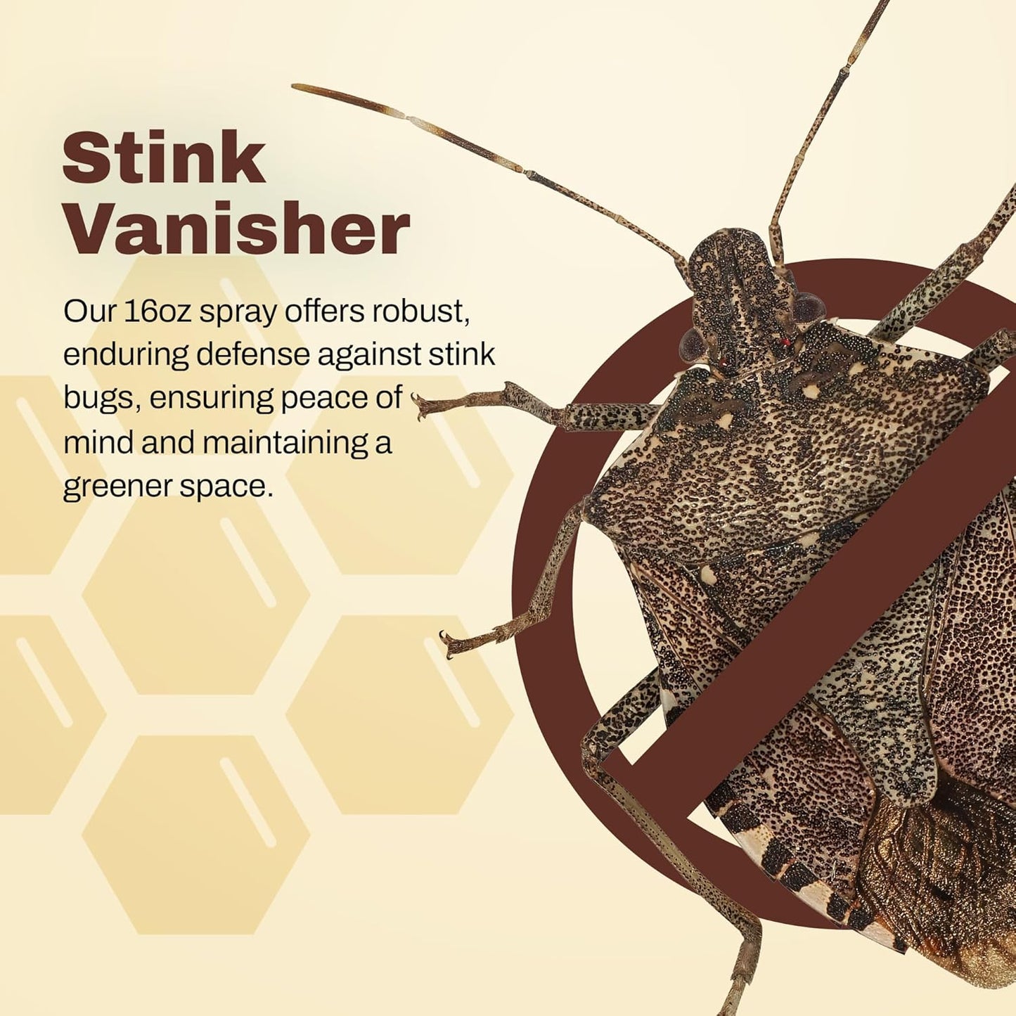Stink Bug Spray - Naturally Eliminate Stink Bugs for a Refreshing Home Atmosphere, Keeping Unwelcome Intruders at Bay, 16oz