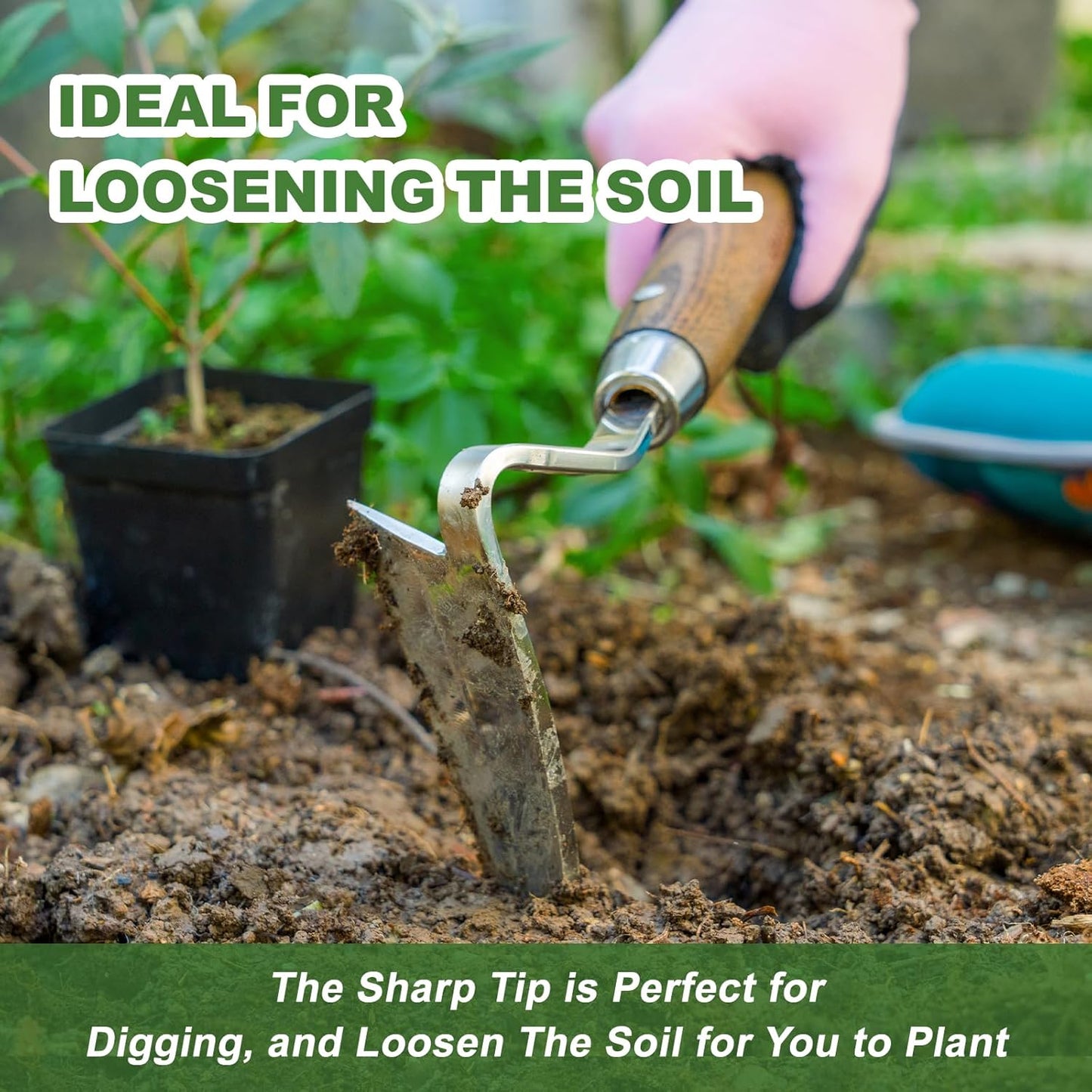 Haliaeetus Gardening Sickle Hoe, Japanese Bent Angle Weeding Sickle, Stainless Steel Weed Hoe Scraper, 13'' Gardening Hand Hoe with Ergonomic Wood Handle for Weeding, Loosening Soil and Cultivating