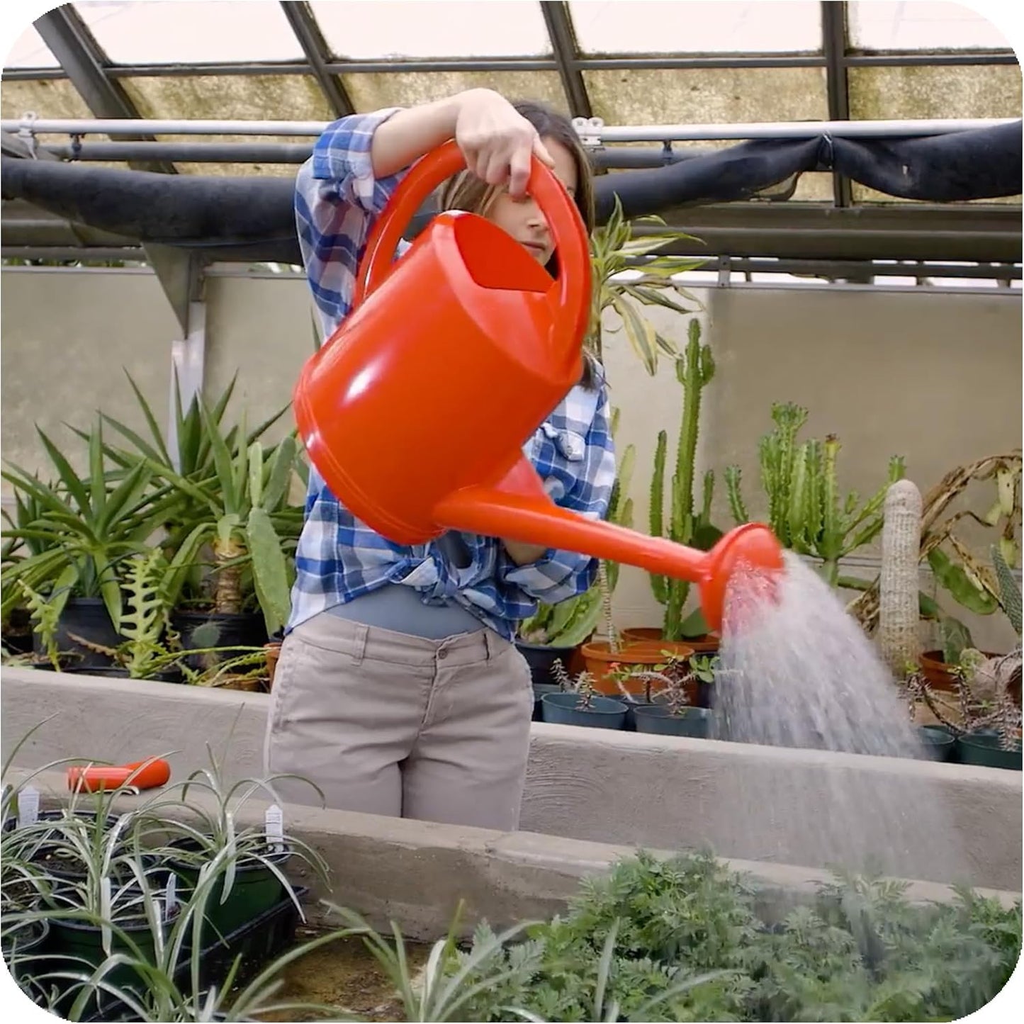 Consolidated Plastics Durable Swiss Watering Can with UV Protection, Ergonomic Handle for Indoor/Outdoor Gardening, Made in Switzerland (12 Liter, Red)