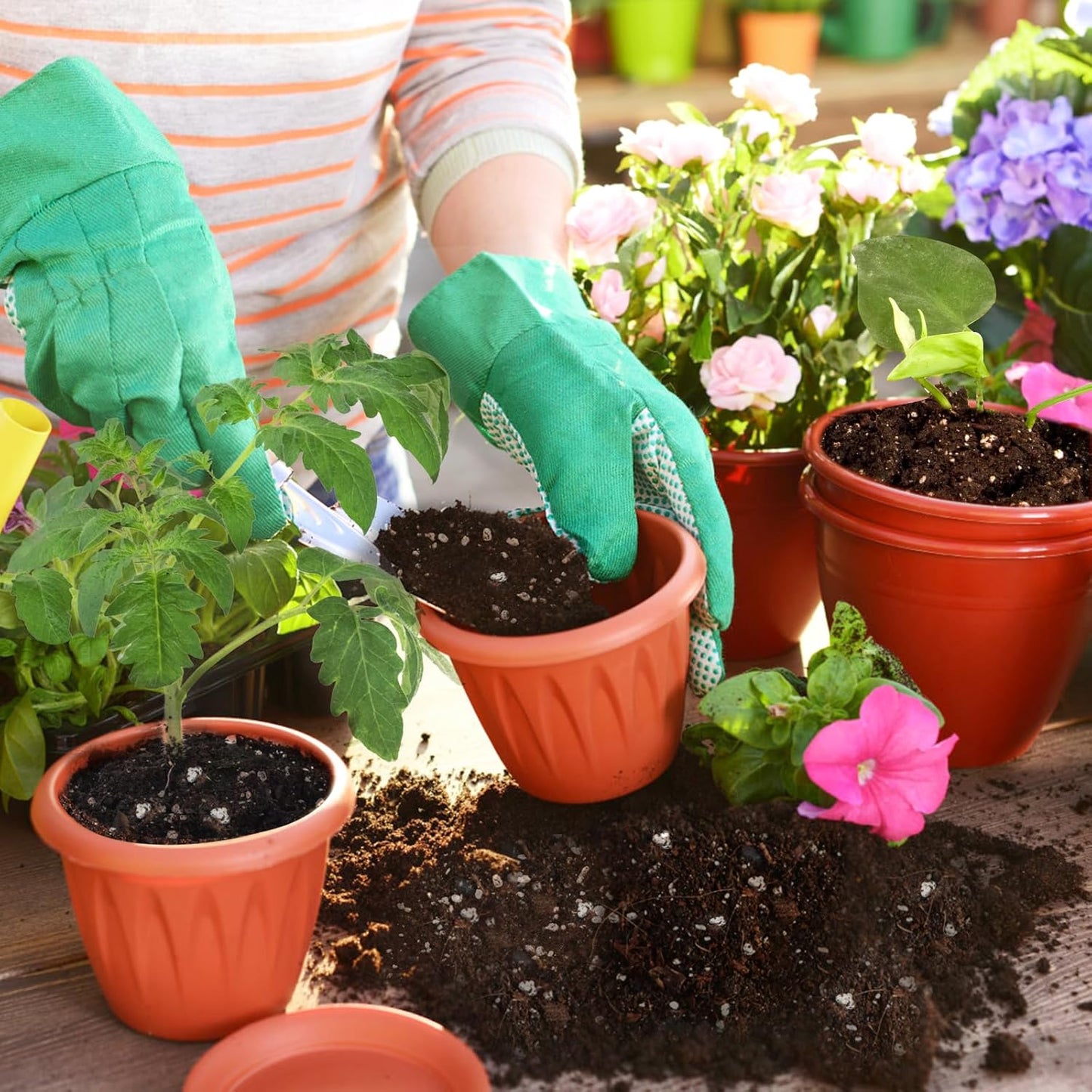 Horticultural Perlite for Plants 4qt, All Natural Horticultural Soil Additive Conditioner Mix, Improve Ventilation and Drainage, Enhance Soil Health and Root Growth