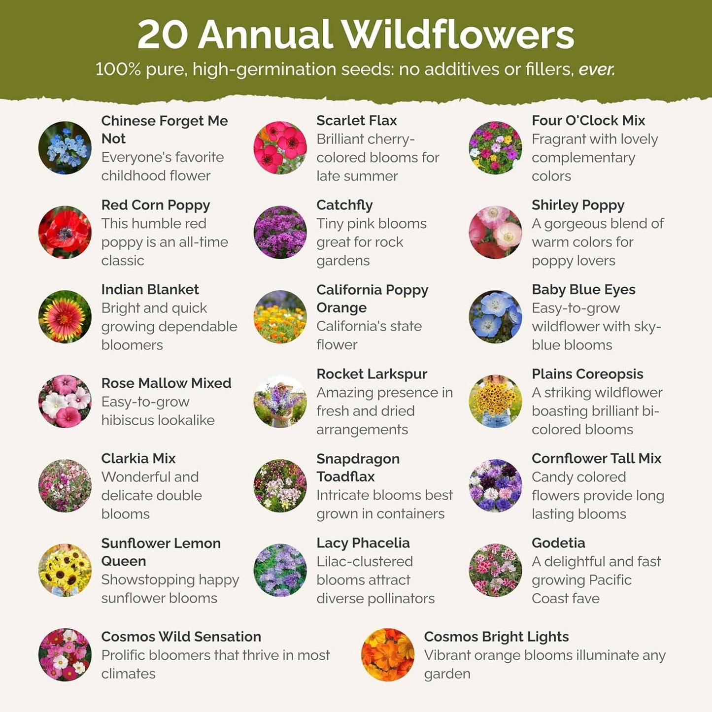 Eden Brothers All Annual Wildflower Mixed Seeds for Planting, 1 lb, 480,000+ Seeds with Sunflower, Indian Blanket, Scarlet Flax | Attracts Pollinators, Plant in Spring, Zones 3, 4, 5, 6, 7, 8, 9, 10