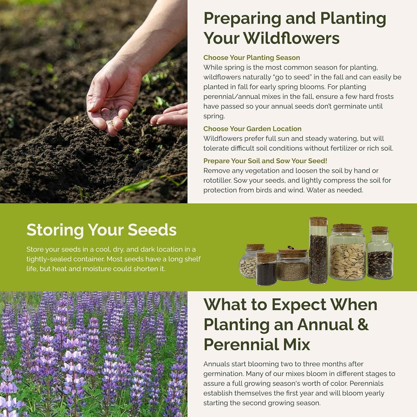 Eden Brothers Lupine Flower Mixed Seeds for Planting, 1/4 lb, 120,000+ Seeds with Russell, Arroyo, Yellow, Sky Lupine | Attracts Pollinators, Plant in Spring or Fall, Zones 3, 4, 5, 6, 7, 8, 9, 10