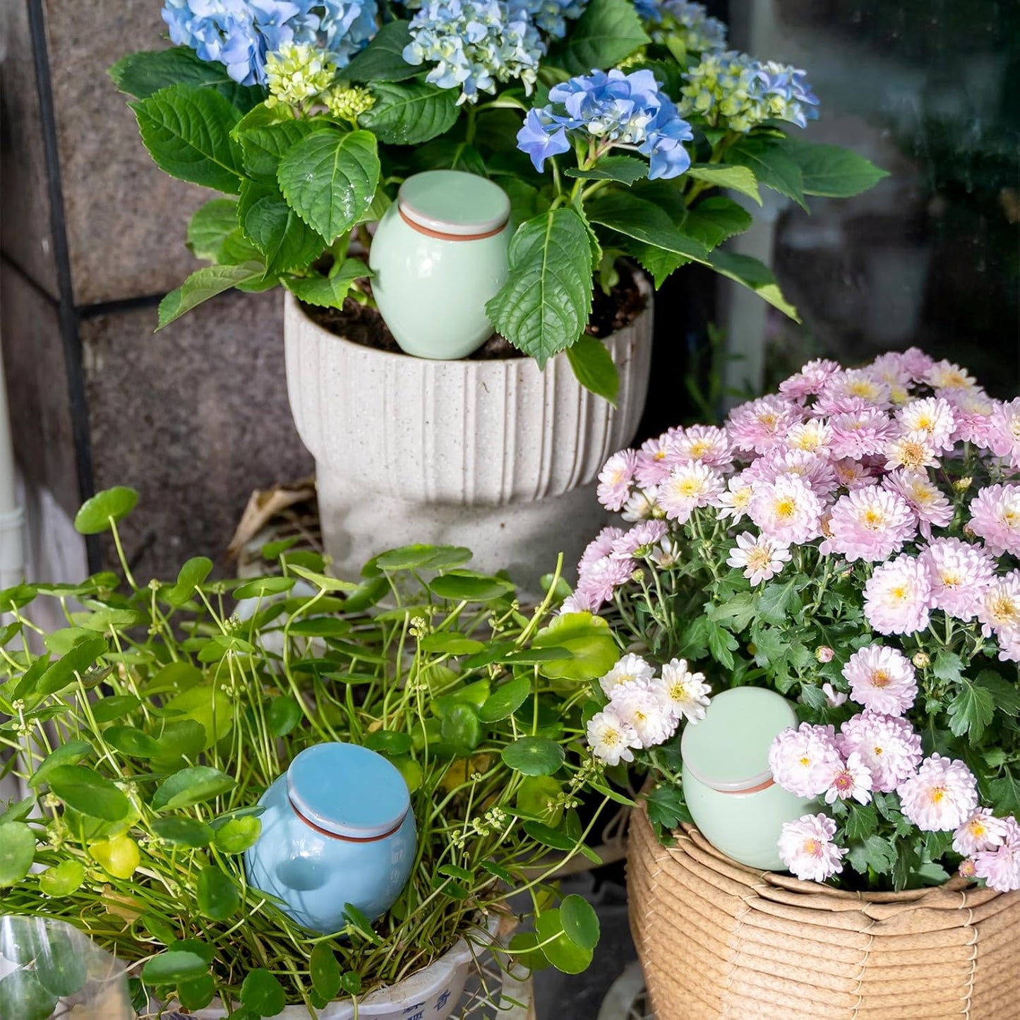 4-Pack Self Watering Planter Insert - 2 Blue and 2 Green Ceramic Watering Globes for Indoor Plants, Terracotta Bulbs, and Small Plant Pots - 300ml Capacity, 1 Weeks Autonomy