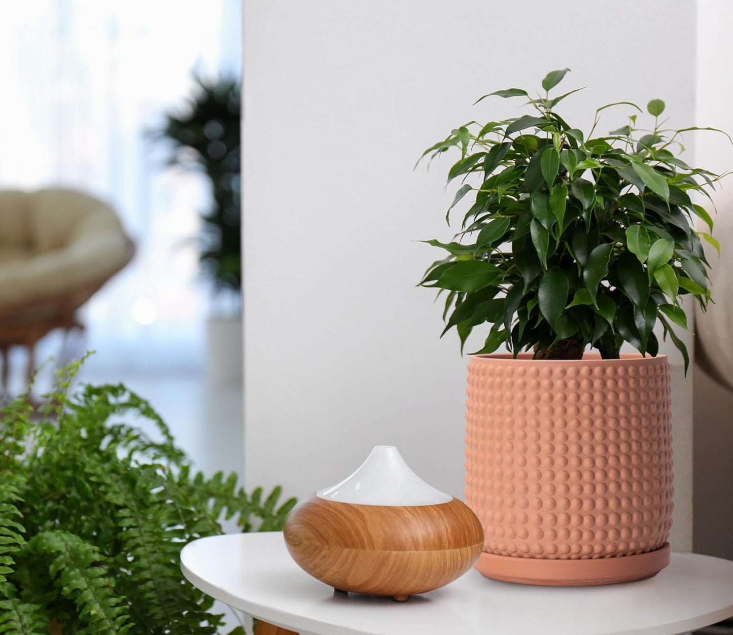 D'vine Dev Set of 2 Ceramic Plants Pots, 6 Inch Beaded Stoneware Flower Pot for Plants with Drainage Hole and Saucer, Terracotta, 27-E-X-7