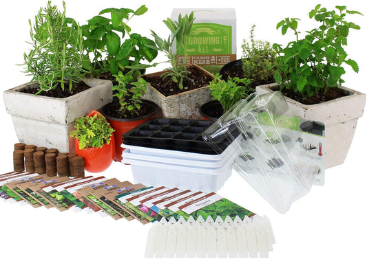 Culinary Indoor Herb Garden Starter Kit | Premium Herb Seeds | 18 Non-GMO Varieties | Grow Cooking Herbs & Spices | Seeds: Mint, Basil, Fennel, Anise, Rosemary, Dill, Mustard, More