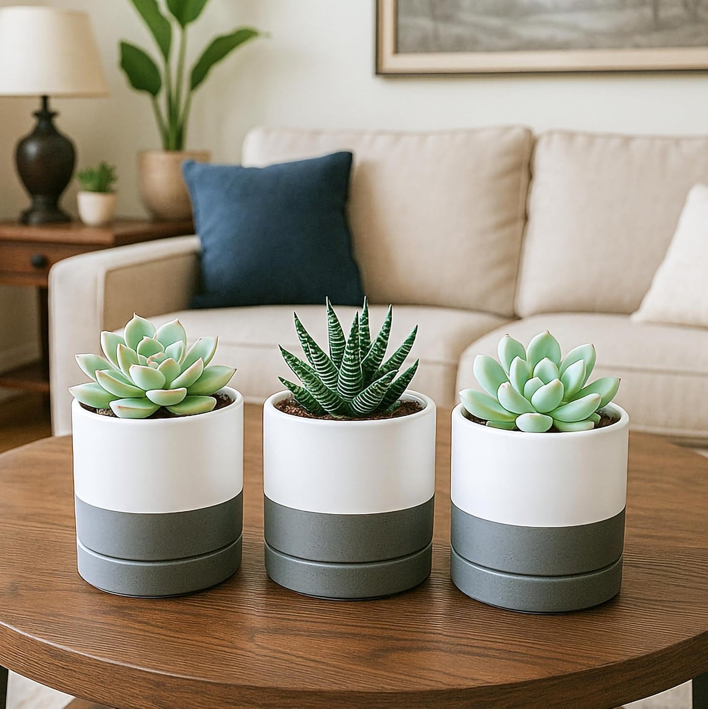 D'vine Dev Set of 4 Small Ceramic Plant Pots, 3.5 Inch Succulent Planter Pot for Plants with Drainage Hole and Saucer, White/Speckled Grey, 94-X-A-6