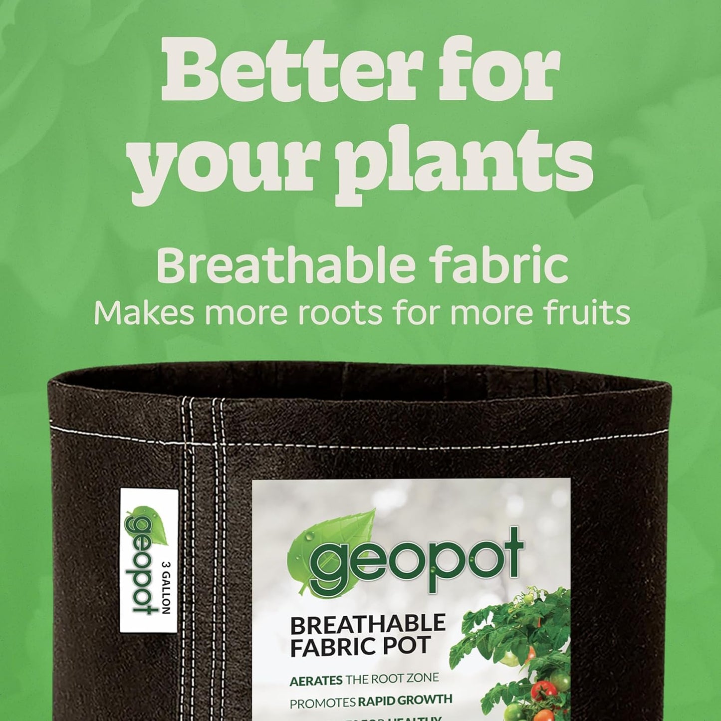 3 Gallon Fabric Grow Bags for Vegetables, Houseplants, Herbs & Flowers | 10-Pack | Fabric Pots for Outdoors and Indoors, Aerated Fabric Grow Bags