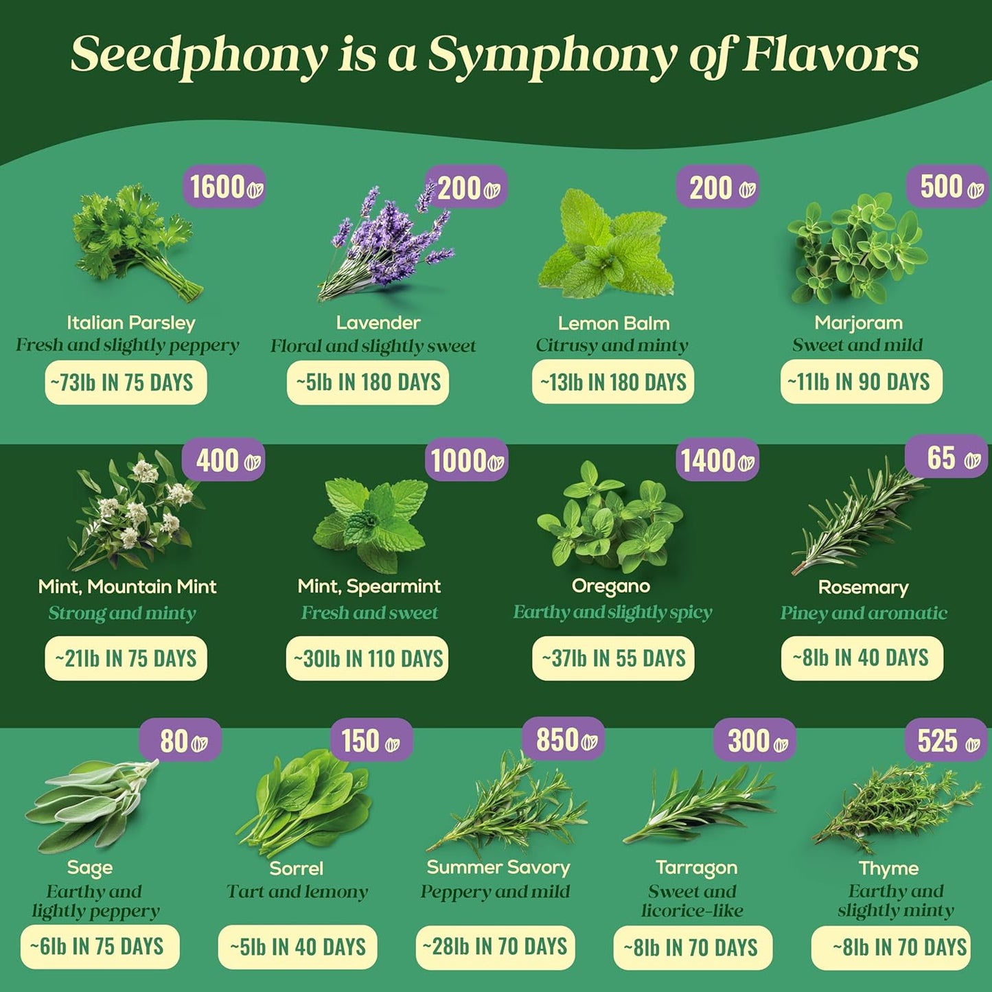 25 Culinary Herb Seeds Variety Pack - 13,055+ Non-GMO Heirloom Herbs Seeds for Planting Indoor & Outdoor: Rosemary, Basil, Catnip, Cilantro, Dill, Parsley, Oregano, Thyme, Mint, Tarragon, Lavender