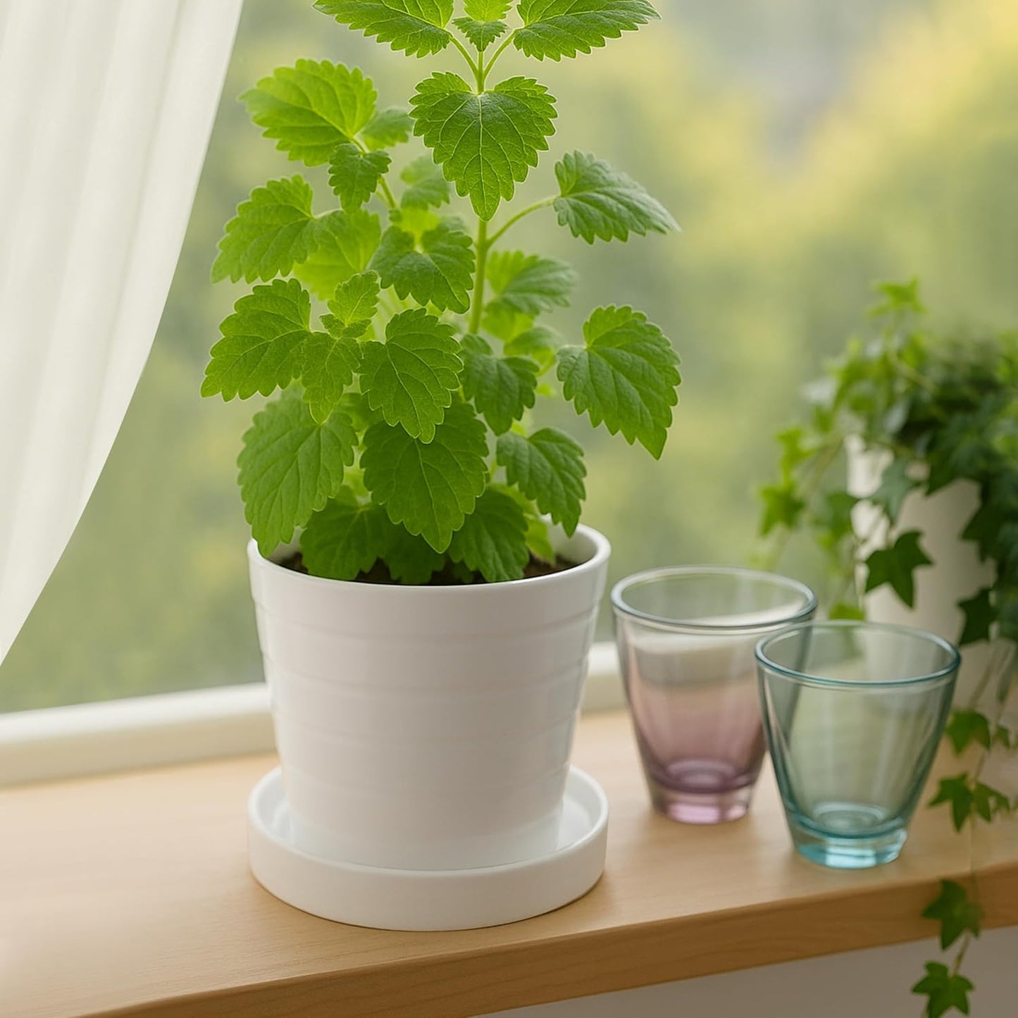 D'vine Dev Modern Round 5.4 Inch Ceramic Plant Pot Saucer, Planter Pot Drainage Tray for Indoor Plants, Matte White, 97-T-A-2