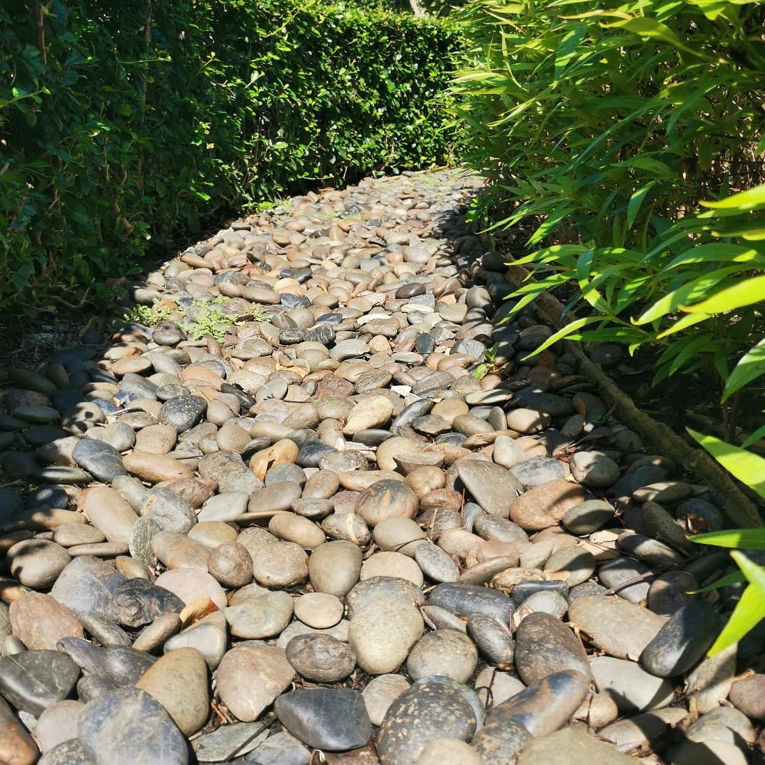 40lbs Natural River Rocks, 3"-4" Premium Pebbles for Garden and Landscape Design, Hand-Picked Smooth Stones for Fish Tank, Flower Pots, Indoor Water Fountains, Pathways, Backyard
