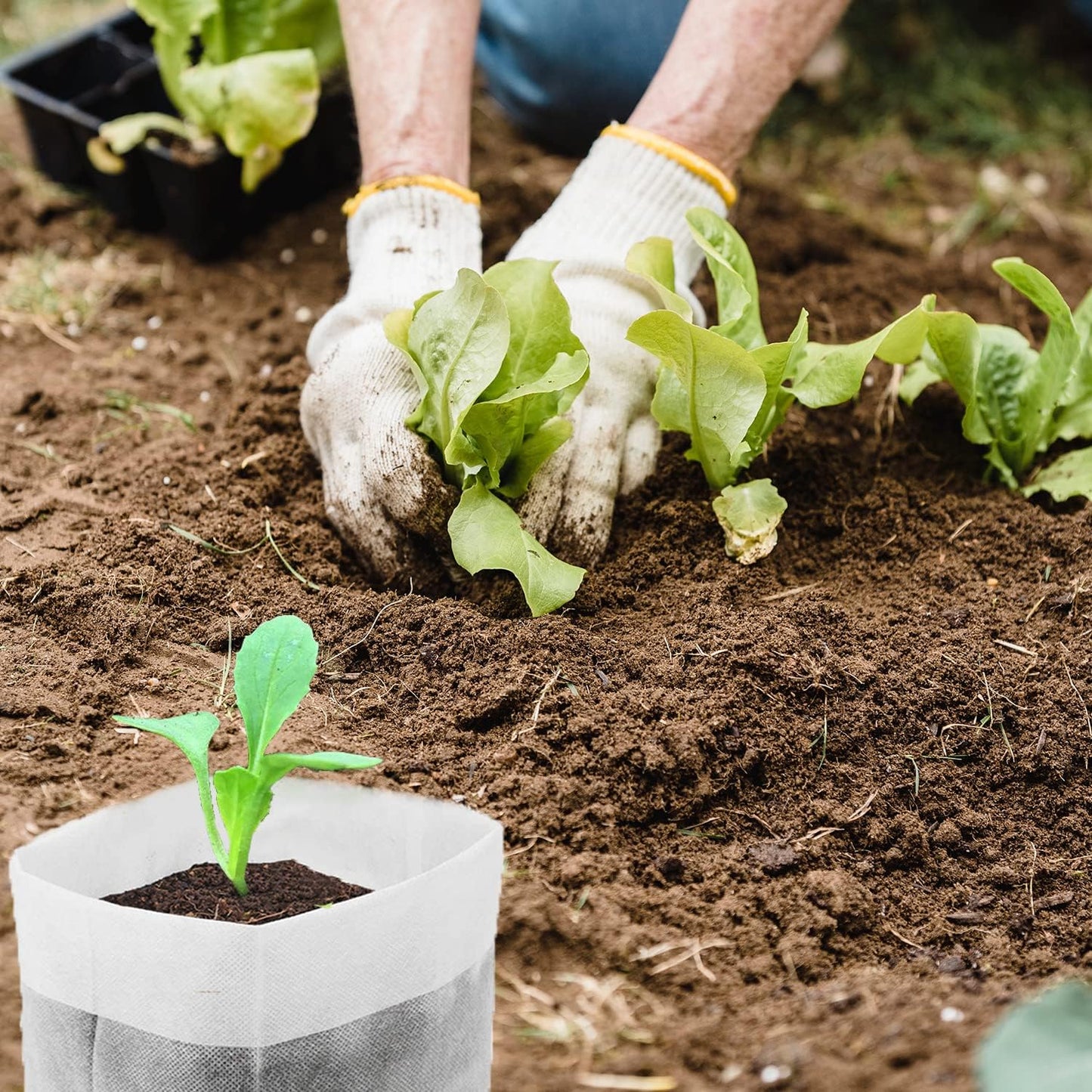 100Pcs Nursery Growing Bags，5.8"x5"nonwoven Fabric Seedlings Grow Bag for Plants，Fabric Plant pots,Potato, Flower, Tomato Solid Seed Starter Bags