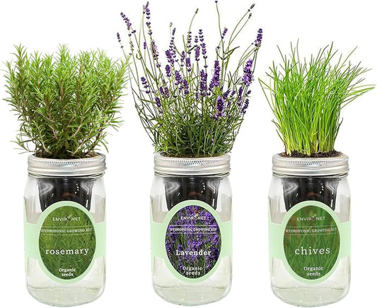Hydroponic Herb Growing Kit Set, Self-Watering Mason Jar Herb Garden Starter Kit Indoor, Grow Your Own Herbs from Seeds (Lavender, Rosemary & Chives)