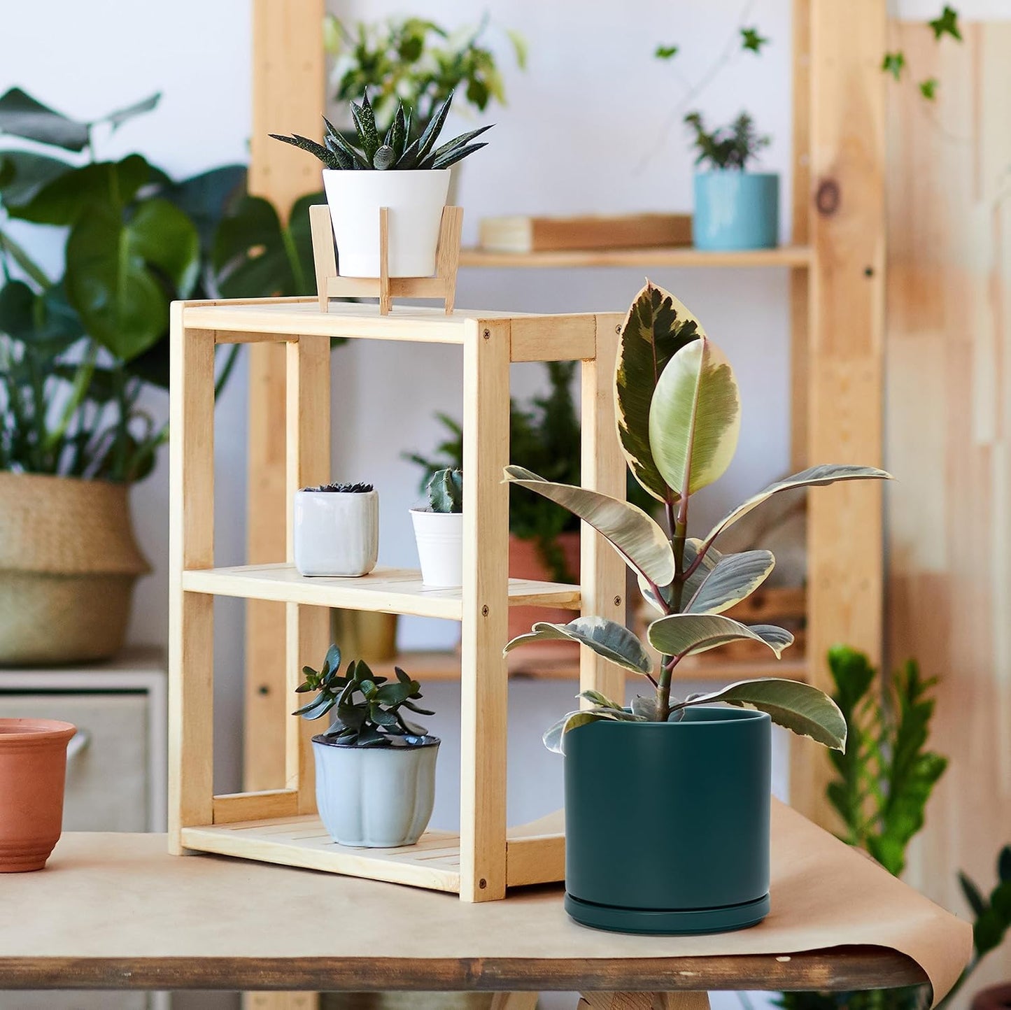 D'vine Dev Set of 2 Plants Pots, 8 Inch Ceramic Planter Pot for Plants with Drainage Hole and Saucer, Teal, 94-V-D-9