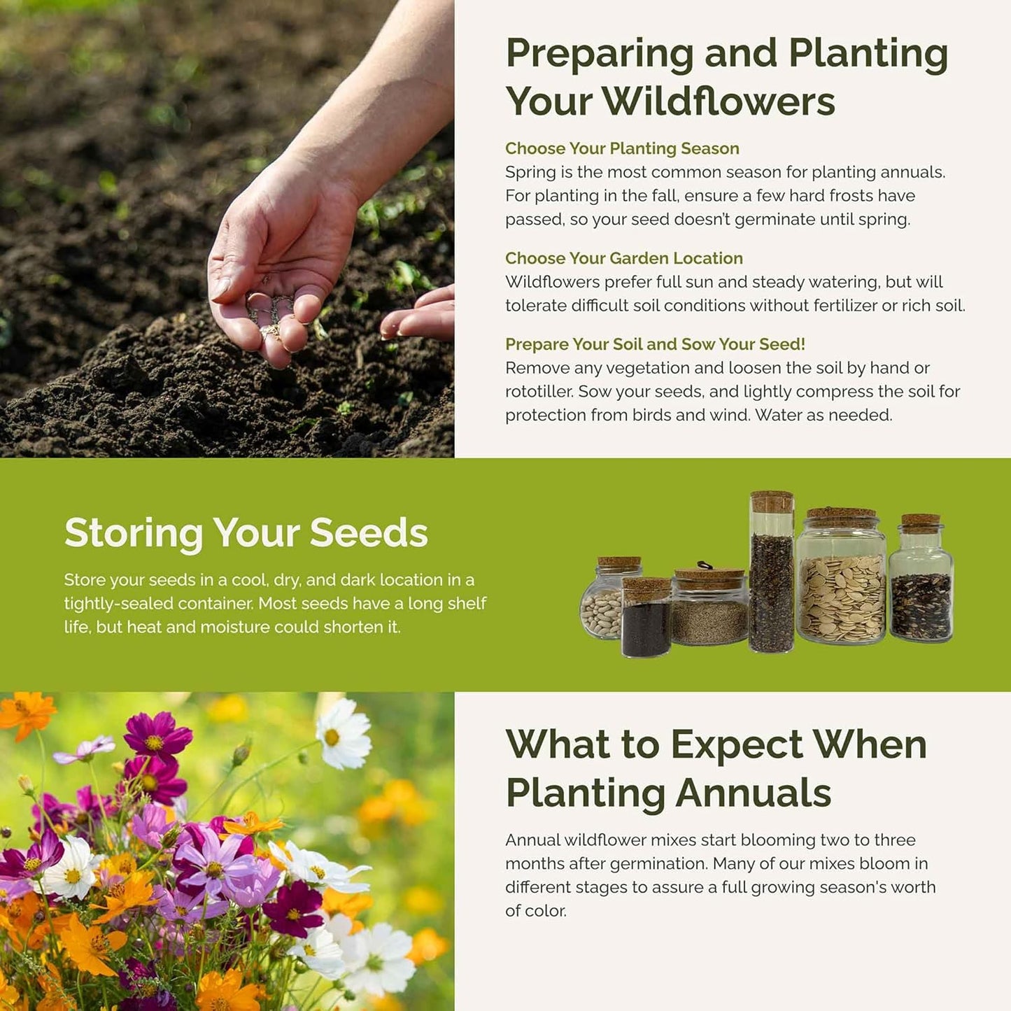 Eden Brothers All Annual Wildflower Mixed Seeds for Planting, 25 lb, 12,00,000+ Seeds with Sunflower, Indian Blanket, Scarlet Flax, Attracts Pollinators, Plant in Spring, Zones 3, 4, 5, 6, 7, 8, 9, 10