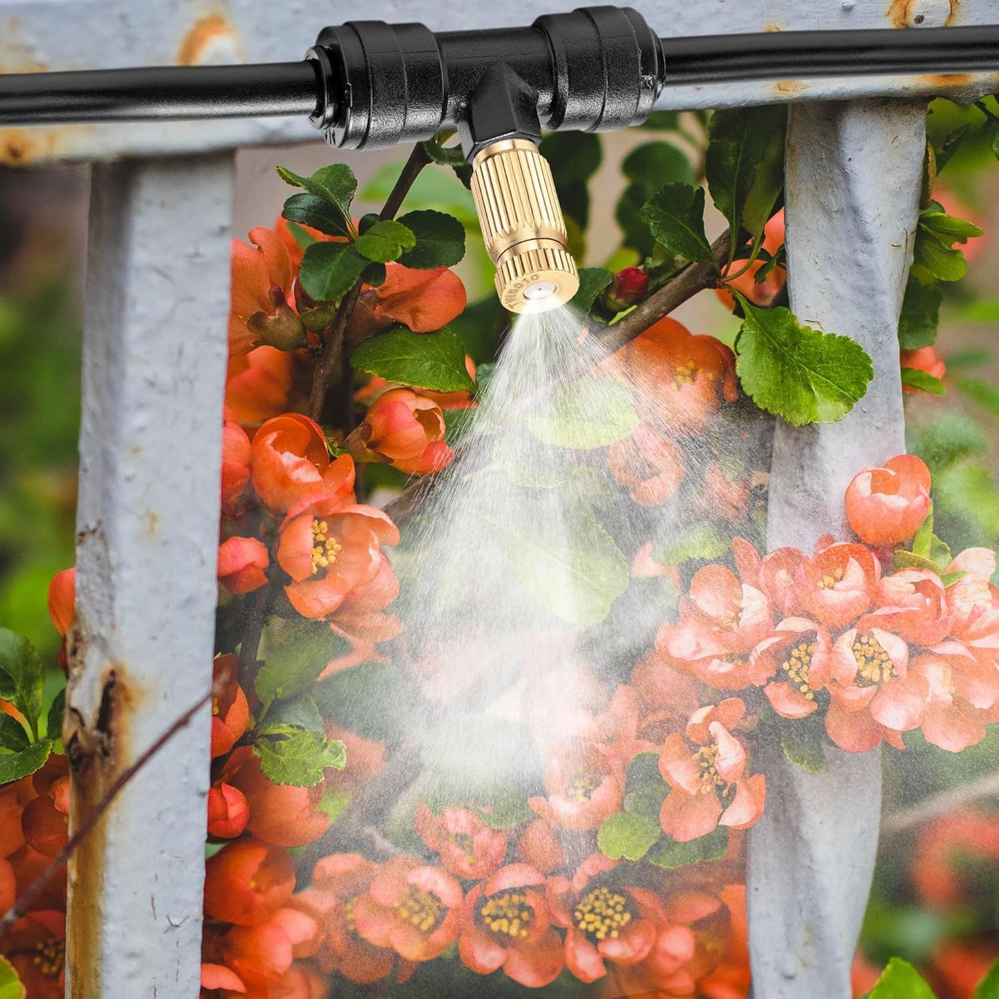 Mornajina 30 Packs Brass Misting Nozzles Mister Replacement Nozzles for Outdoor Cooling System, Misting System Heads Sprayer 0.020" (0.5 mm) 10-24 UNC, High Pressure