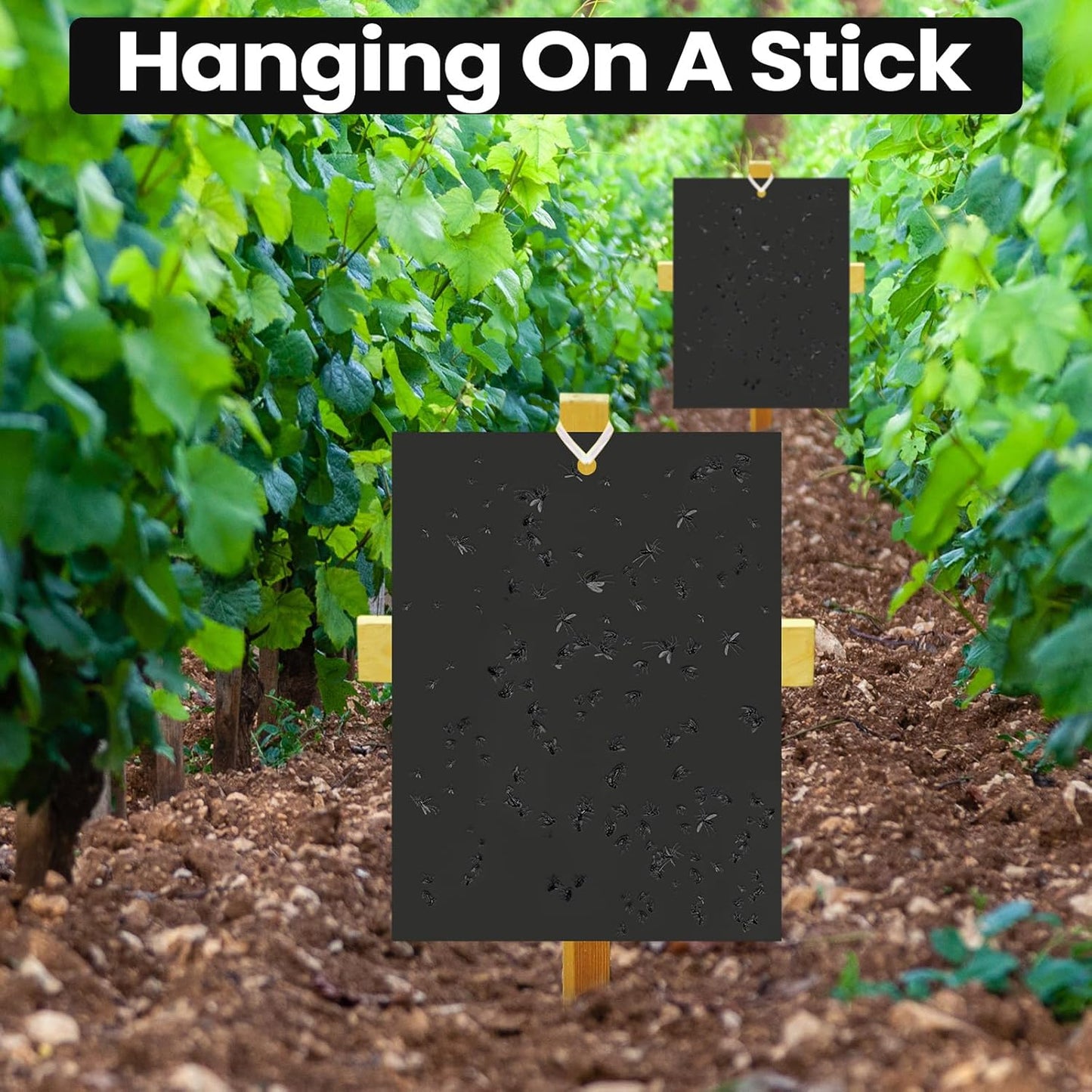 Qualirey 100 Pcs 6 x 8 Inch Sticky Traps for Plant Double Sided Sticky Trap for Gnats with Twist Ties Fly Traps for Fruit Insect Fungus Bugs Indoor Outdoor (Black)