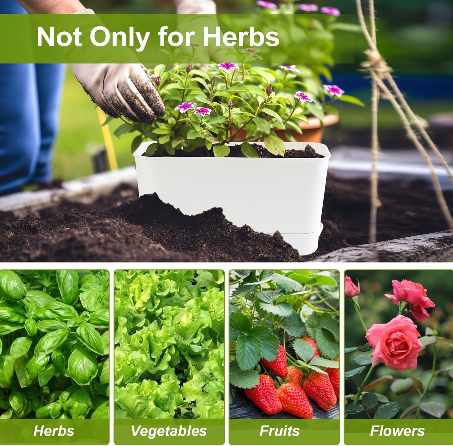 Herb Garden Planter Indoor Kit Self Watering Pots for Indoor/Outdoor Plants 2 Packs Windowsill Plant Pots with Drainage and Tray, Window Pot for Indoor Plants