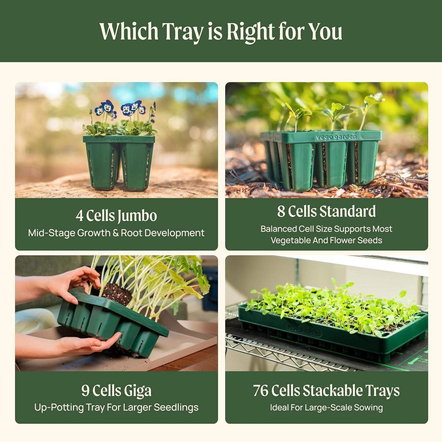 Vego garden Jumbo Seedling Trays Without Lids, 32 Pack Reusable Propagator Growing Starter Tray for Larger Plants, Heavy-Duty Plastic Germination Trays (4-Cell per Tray)