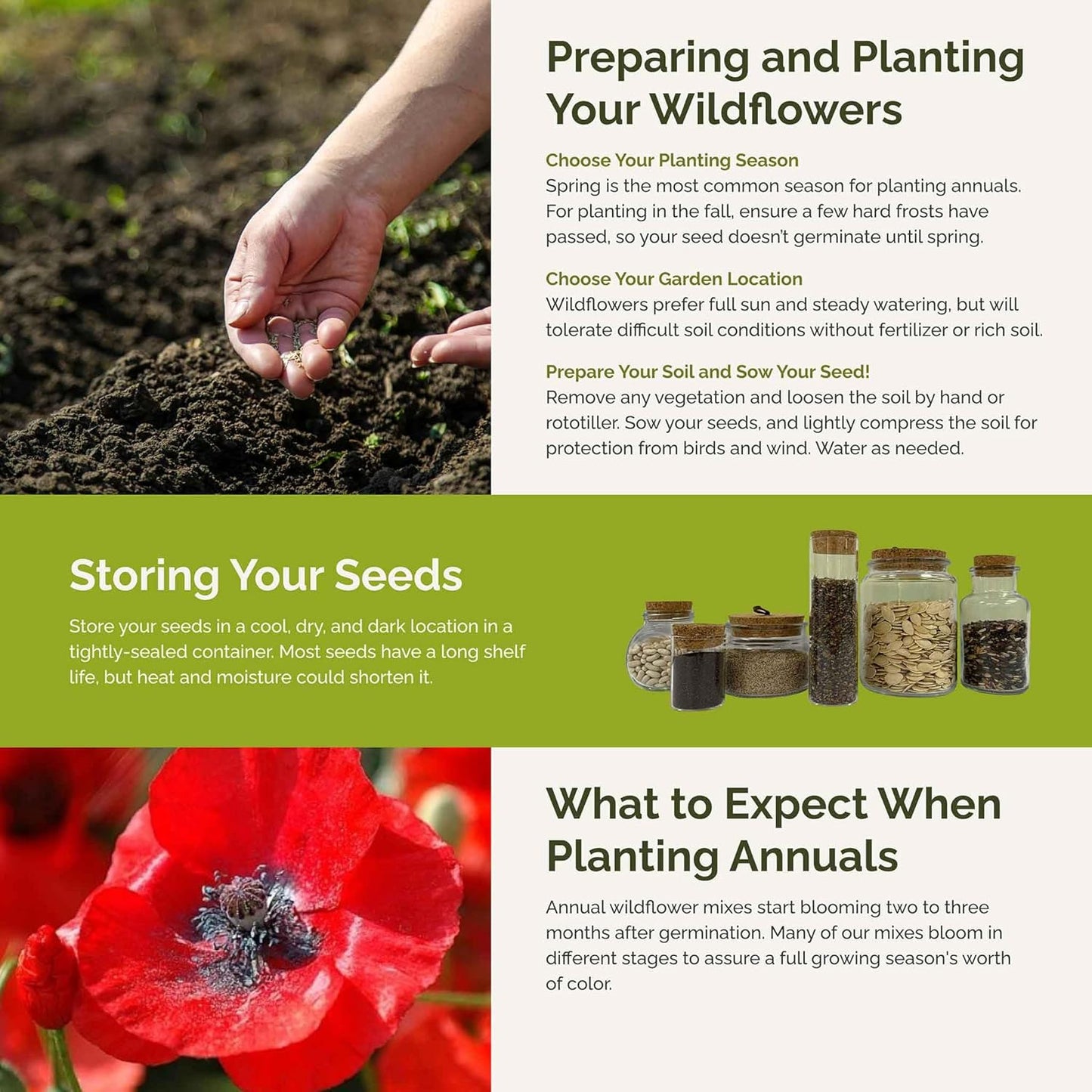 Eden Brothers Fairytale Flower Mixed Seeds for Planting, 1/4 lb, 120,000+ Seeds with Calendula, Cosmos Dazzler, Cornflower, Attracts Pollinators, Plant in Spring or Fall, Zones 3, 4, 5, 6, 7, 8, 9, 10