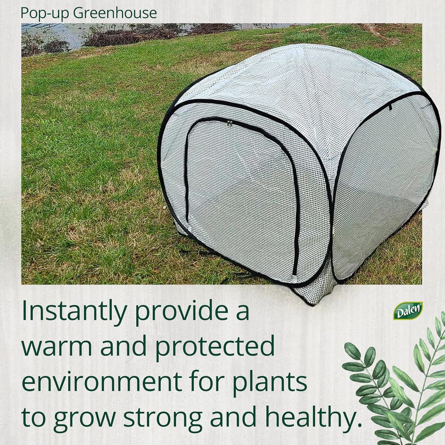 Dalen Pop-Up Mini Greenhouse - Easy Setup and Storage – 39”W x 39" L x 36" H - Special Venting Window to Ensure Breeze