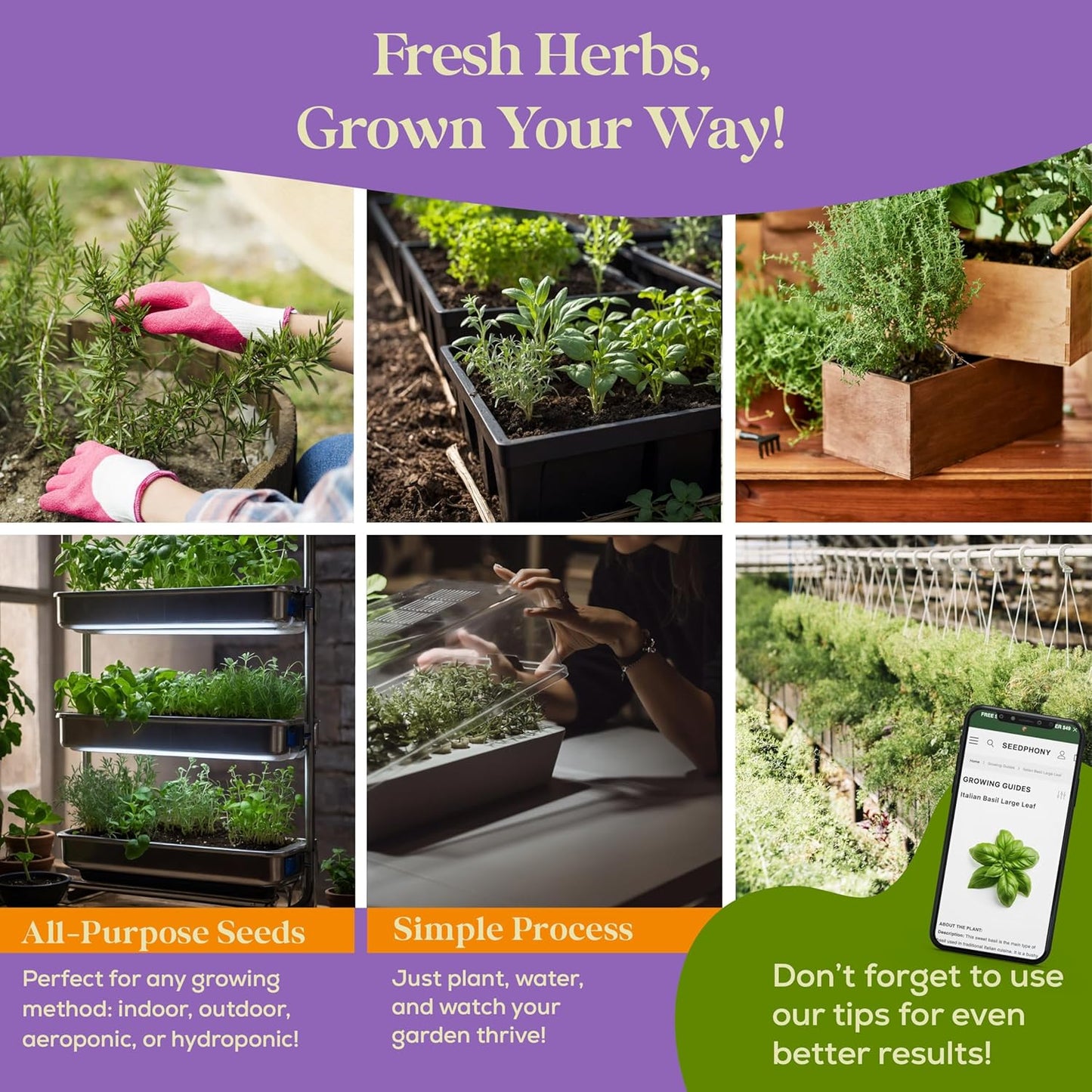 25 Culinary Herb Seeds Variety Pack - 13,055+ Non-GMO Heirloom Herbs Seeds for Planting Indoor & Outdoor: Rosemary, Basil, Catnip, Cilantro, Dill, Parsley, Oregano, Thyme, Mint, Tarragon, Lavender