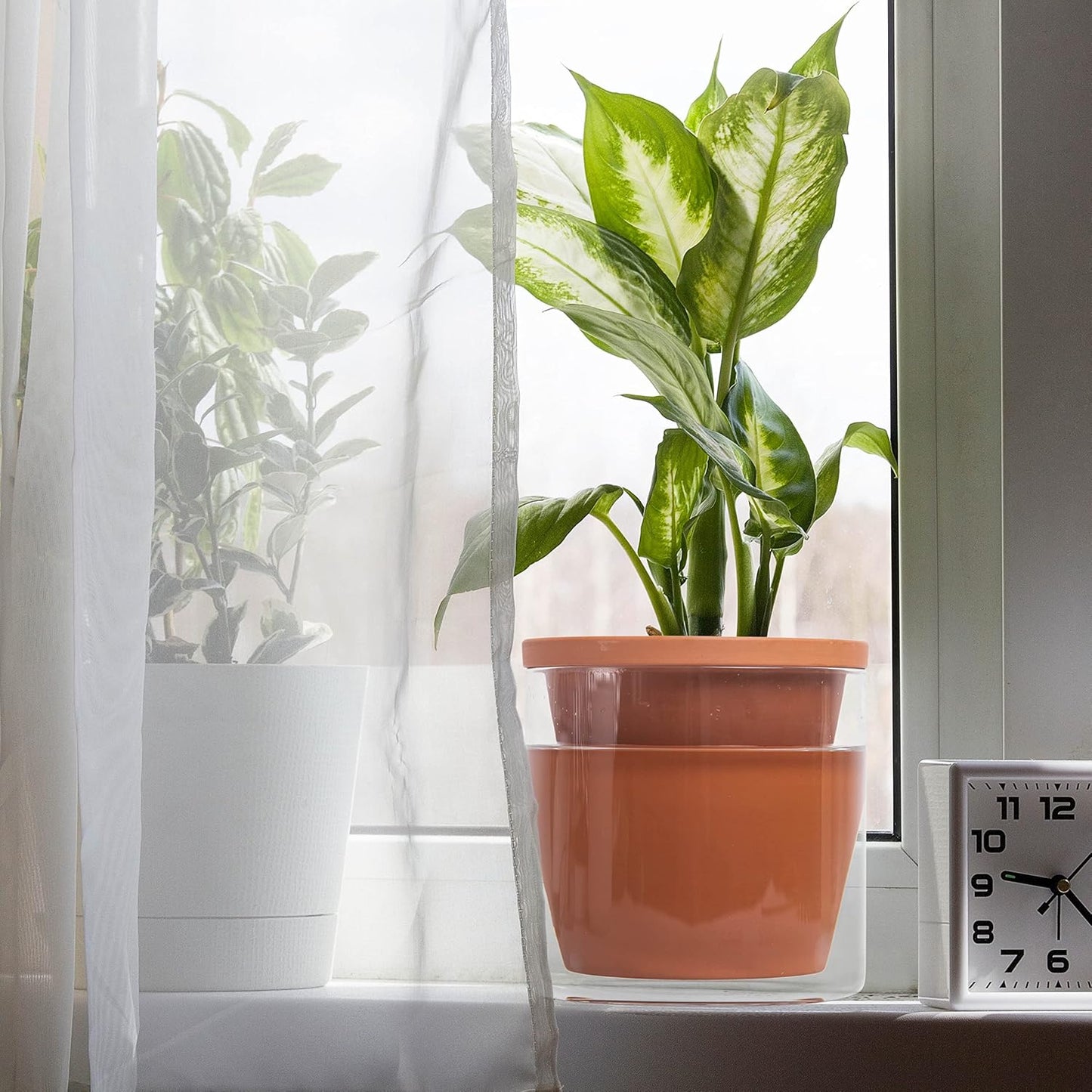 D'vine Dev 6 Inch Design Self Watering Pot for Indoor Plants, Terracotta Planter with Cylinder Glass Cup, Set of 2, 37-Y-B-1