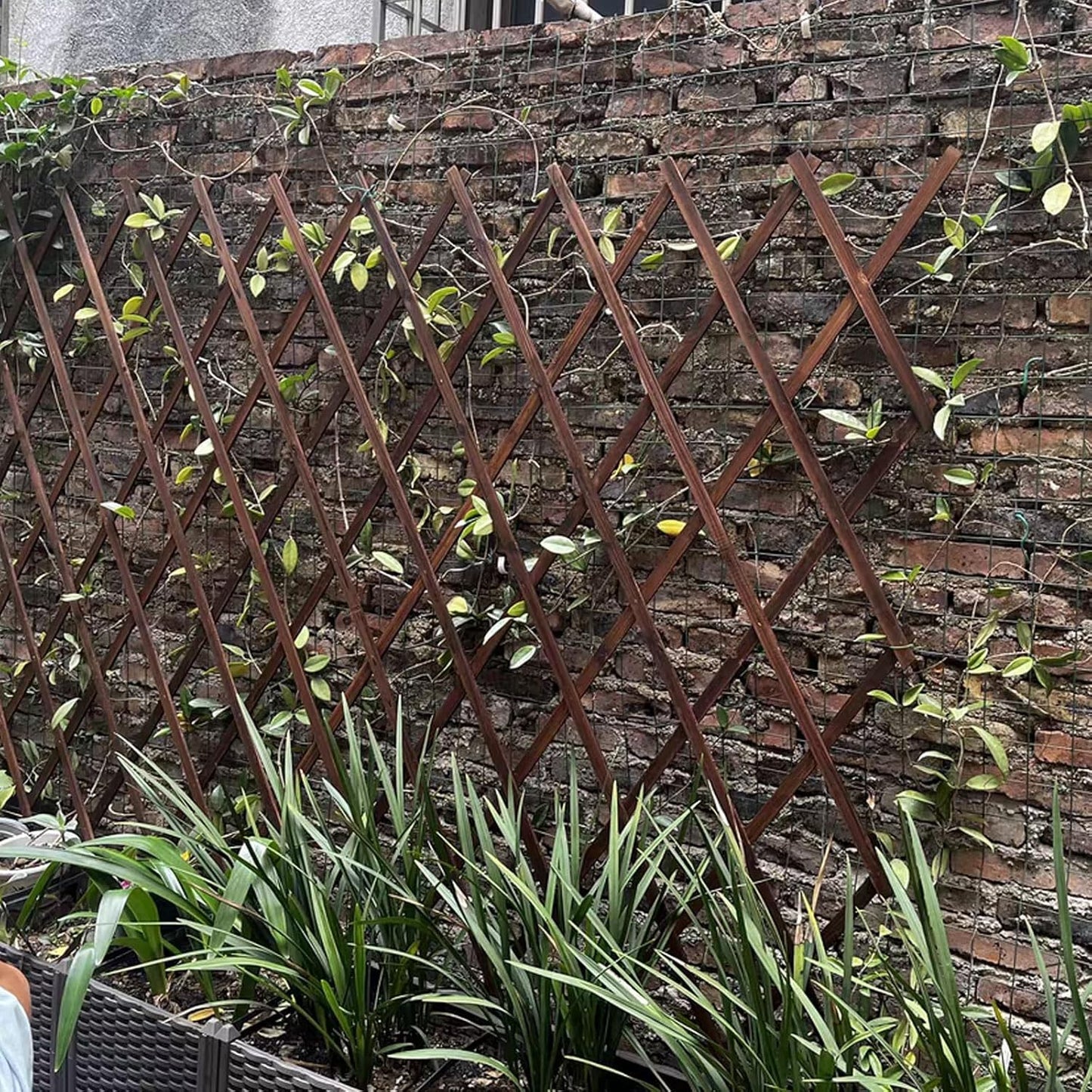 4 PCS Expandable Garden Trellis, 37" x 90" Trellis for Climbing Plants Outdoor, Wooden Lattice Fence Wall Panel Lattice Panels for Outside, for Climbing Plants Vine Ivy Rose Cucumbers Clematis