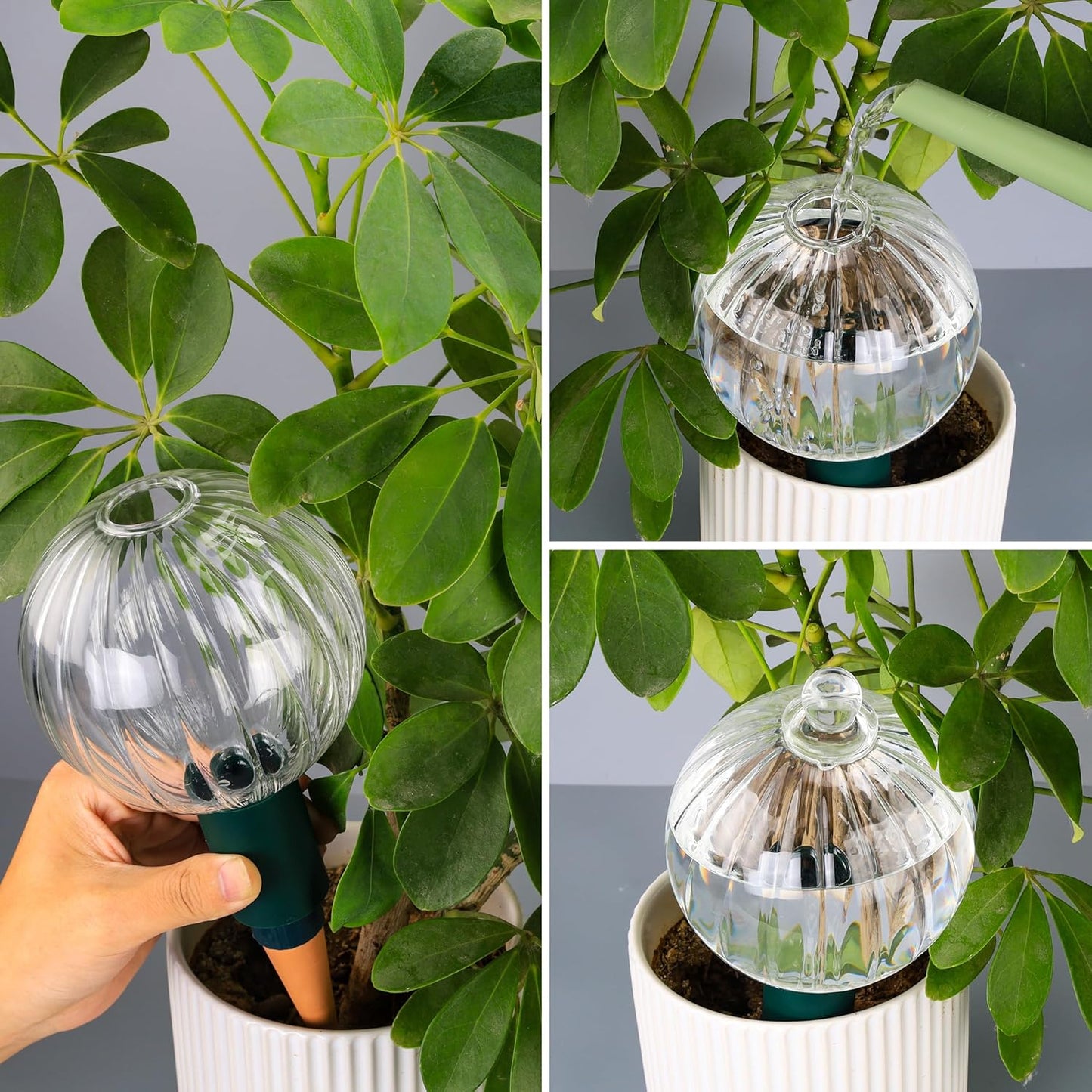 23 oz Extra Large Plant Watering Globes Top Fill, Clear Glass Water Bulbs with Terracotta Spikes Stake, Vacation Slow Release Self Watering Planter Insert, Automatic Drip Device, 1 Pack