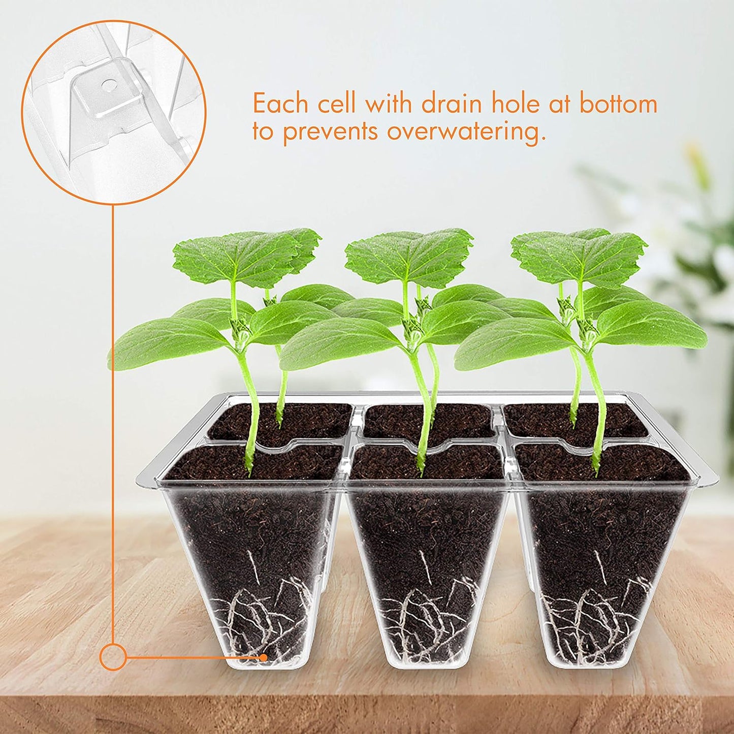 Gardzen 20 Pack Seed Starting Tray, Plant Germination Trays, Seed Starter Kit with Adjustable Humidity Vented Dome, Plant Growing Kit 6.6" x 4.5", Total 240-Cell, Clear