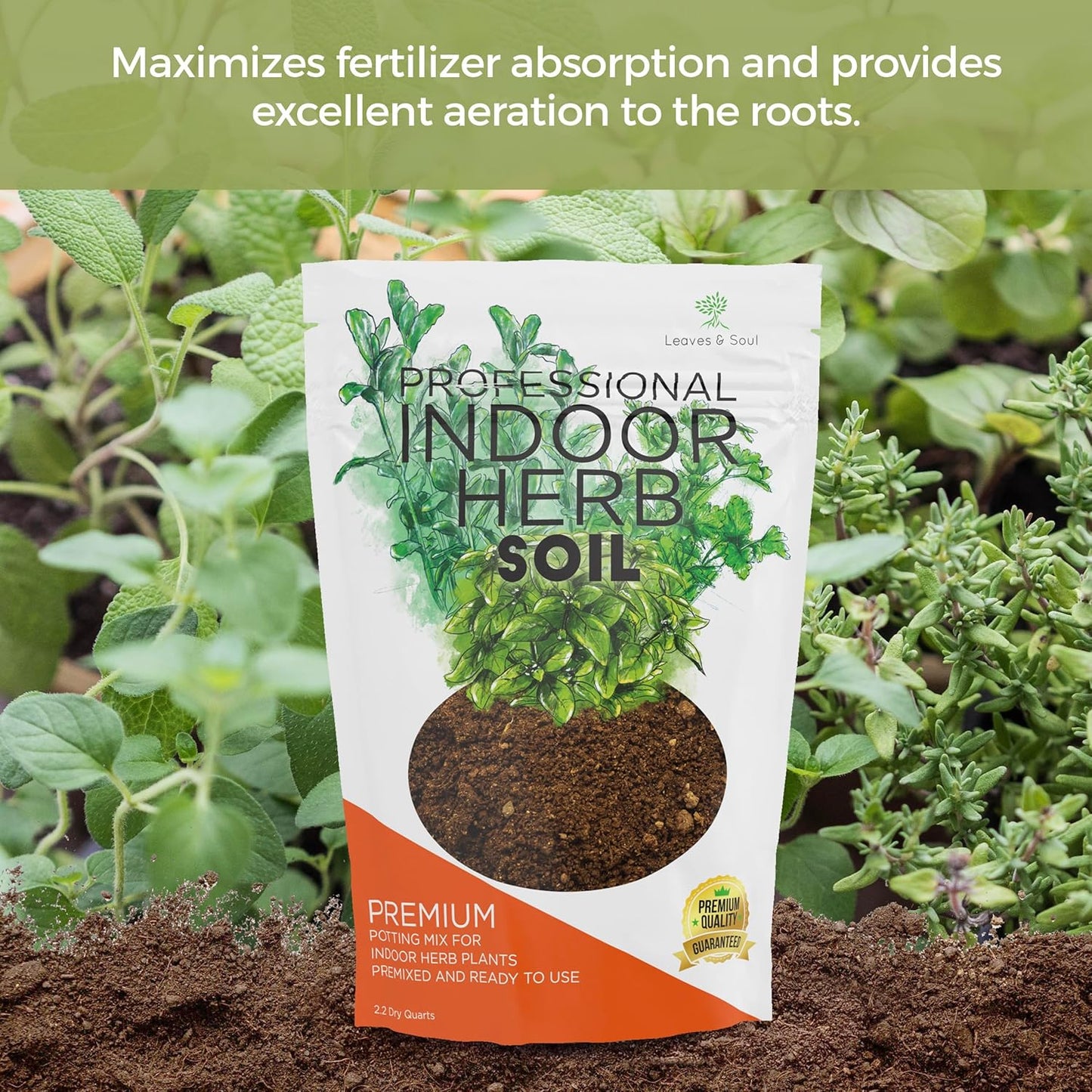 Professional Indoor Herb Plant Soil | Large 2.2 Quarts Ready to Use for Kitchen, Gardens, Cooking Herbs | Peat Moss, Coco Coir, Perlite, Dolomite | Made in USA