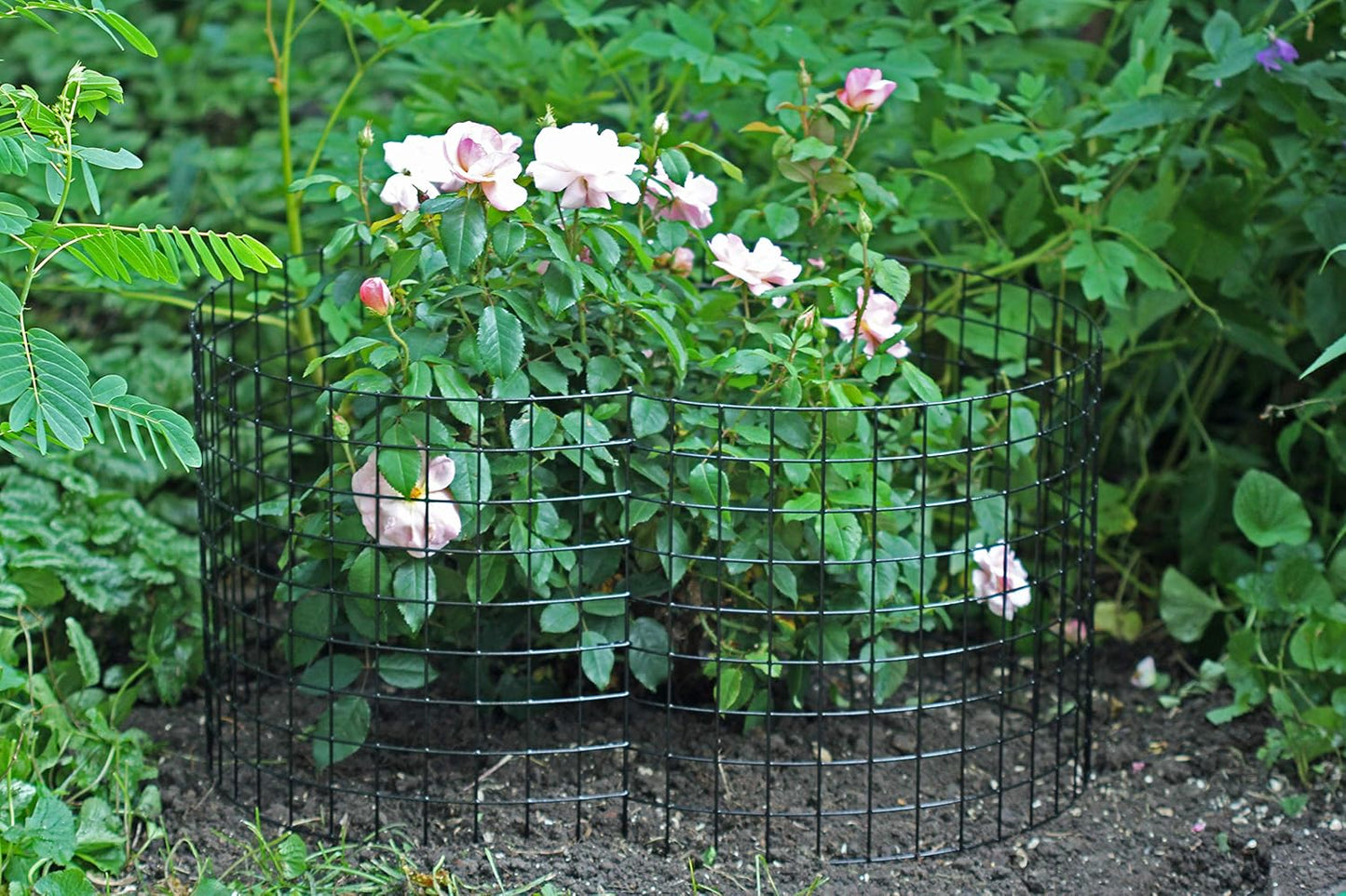 Erva Bunny Barricade Plant Protector Cage (5pk) - Plant Cages for Garden - Plant Protectors from Animals and Crop Cages for Garden - Made in The USA