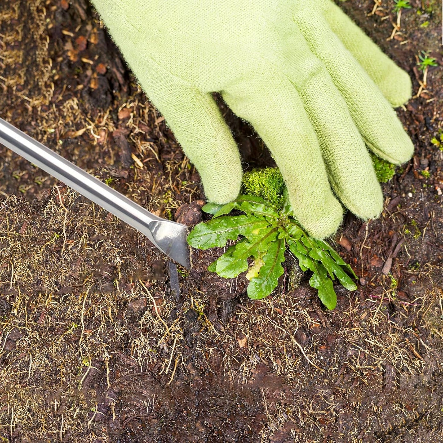 Weed Puller Tool Hand Weeder Dandelion Weeder Tool with Ergonomic Handle, Stainless Steel Manual Weed Puller Bend