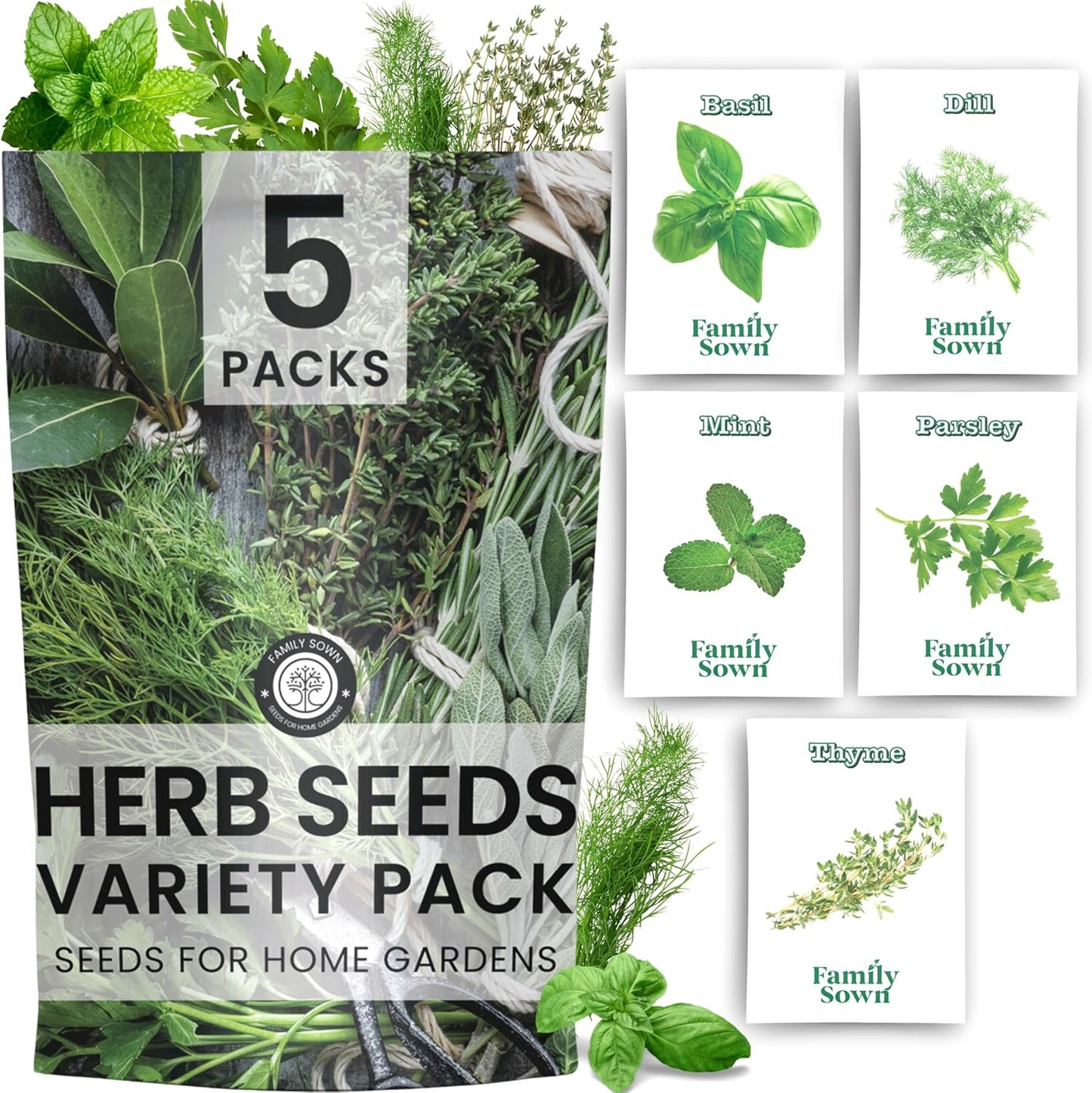 Herb Seeds | 5 Invidiual Packs | 2025 Season | Non-GMO | Basil, Dill, Mint, Parsley & Thyme! | for Planting Indoor & Outdoor | by Family Sown