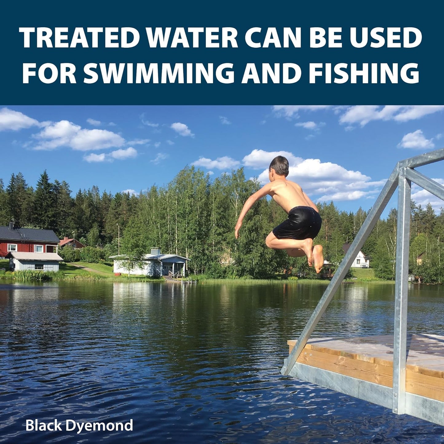 Airmax Pond Dye Packets Black DyeMond Colorant for Large Pond & Lake, Beneficial UV Blocking Color Concentrate, Maintain Clean & Clear Water, Fish, Bird & Animal Safe, 2 Soluble Packets