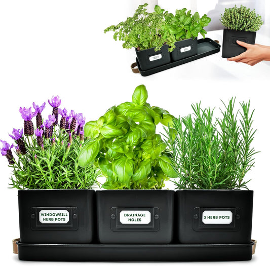 Herb Planter Indoor - Set of 3 Black Indoor Herb Garden Pots for Plants with Leather Handled Tray - Window Sill Plant Shelf - Pots with Drainage Holes and Labels
