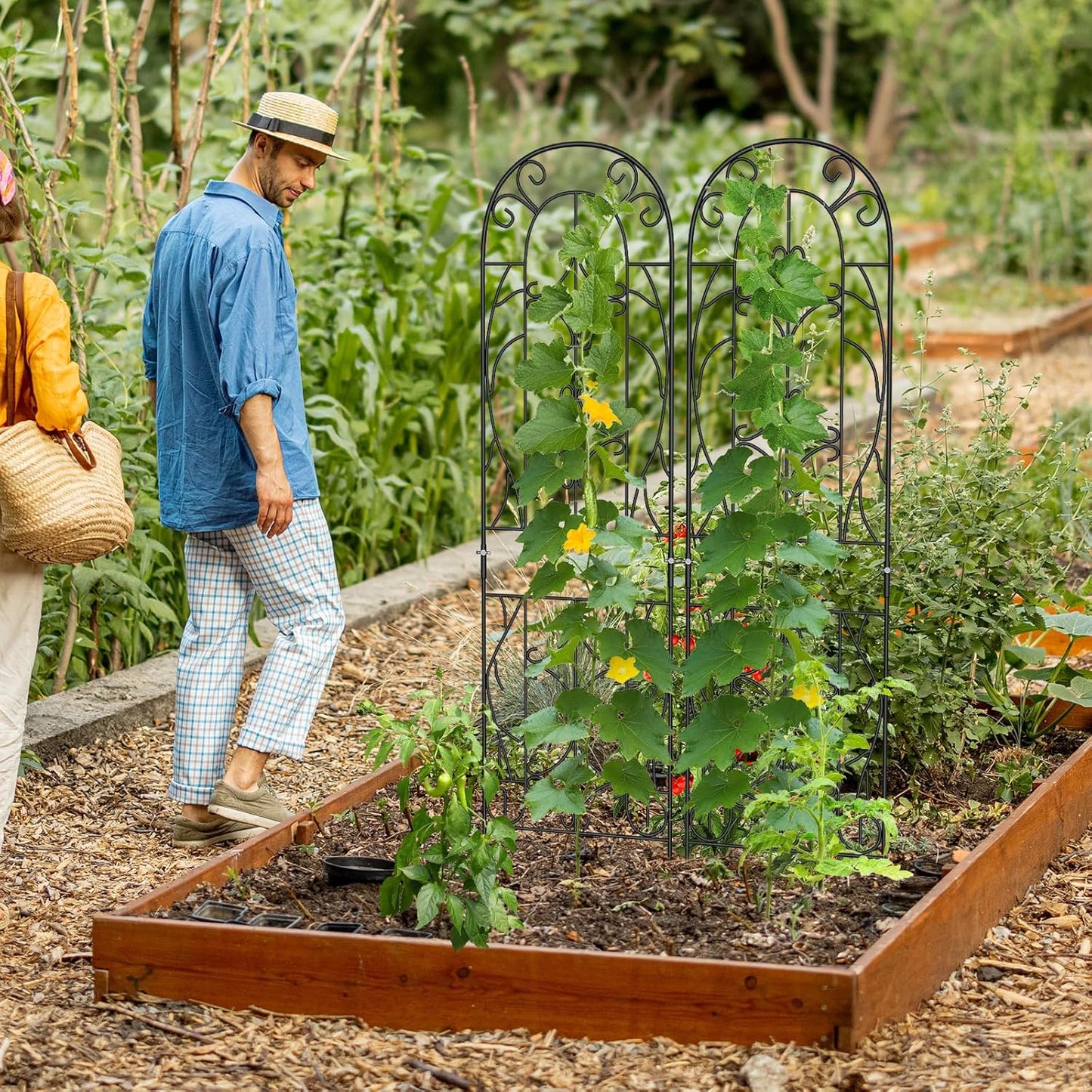 4 Pack 59x16in Metal Garden Trellis for Climbing Plants,Black Large Trellis for Climbing Plants Outdoor, Roses, Vegetables Vines Flowers Support, Large Decorative Outdoor Trellis