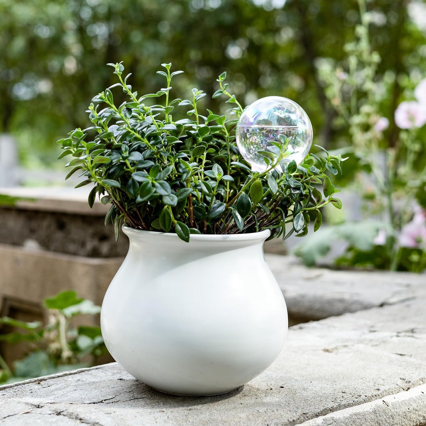 13 oz Up to 2 Weeks Extra Large Plant Self Watering Globes, Light Iridescent Glass Water Bulb Indoor, Plant Waterer Self-Watering Stakes, Perfect Gardening Gifts, 4 Pack