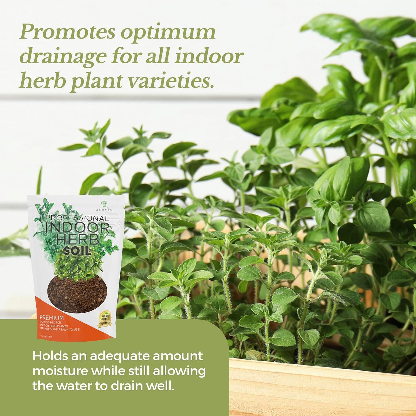 Professional Indoor Herb Plant Soil | Large 2.2 Quarts Ready to Use for Kitchen, Gardens, Cooking Herbs | Peat Moss, Coco Coir, Perlite, Dolomite | Made in USA