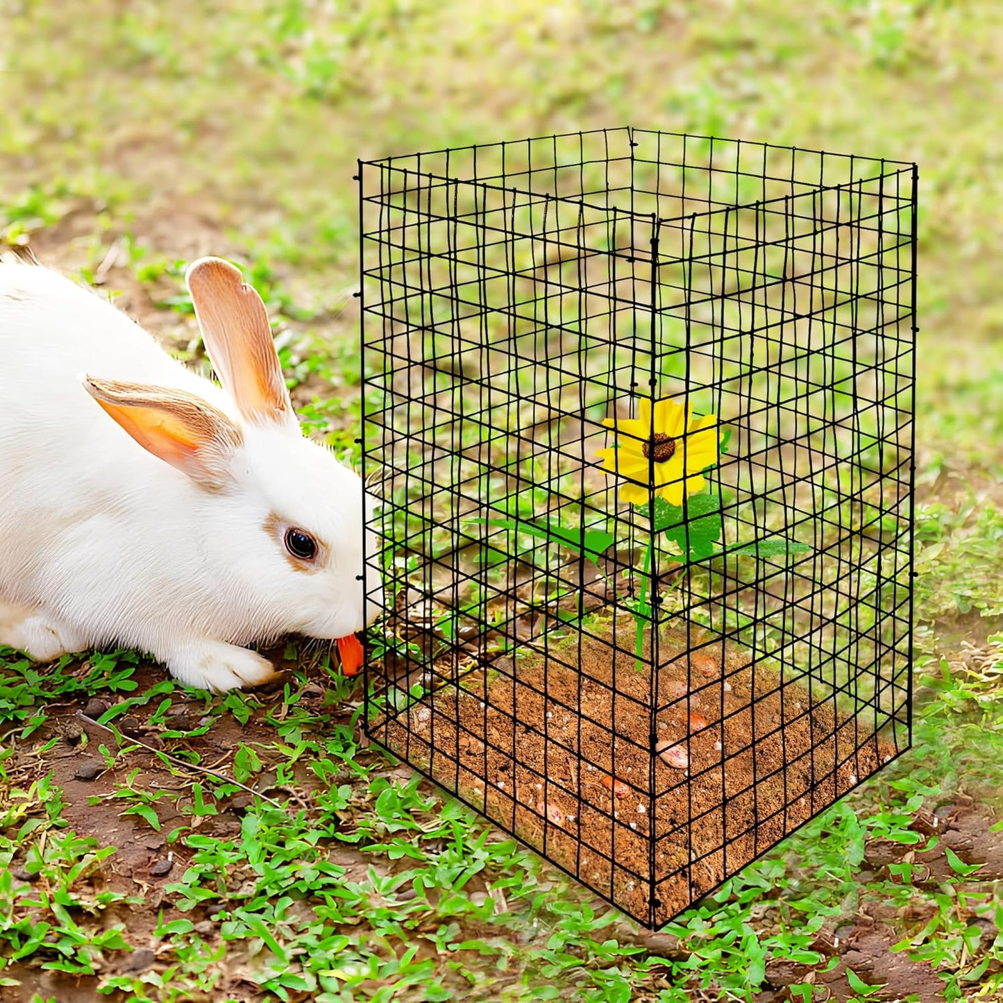 DECOHS 8 Packs Wire Plant Protectors from Animals- 20 x 12 Inch Heighten Square Garden Wire Plant Cages Mesh- Metal Garden Plant Cloche Protection Barricades for Protecting Plants Vegetables Flowers