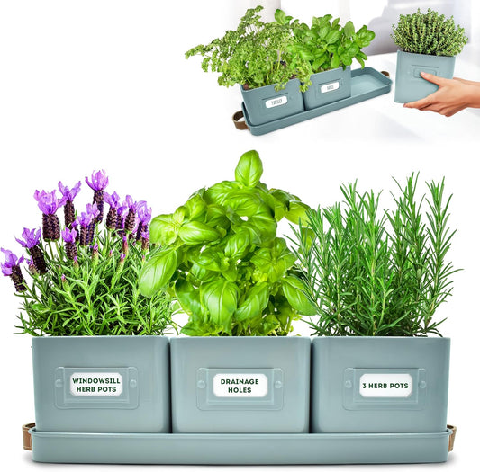 Herb Planter Indoor - Set of 3 Teal Blue Indoor Herb Garden Pots with Leather Handled Tray - Window Sill Plant Shelf - Pots with Drainage Holes and Labels