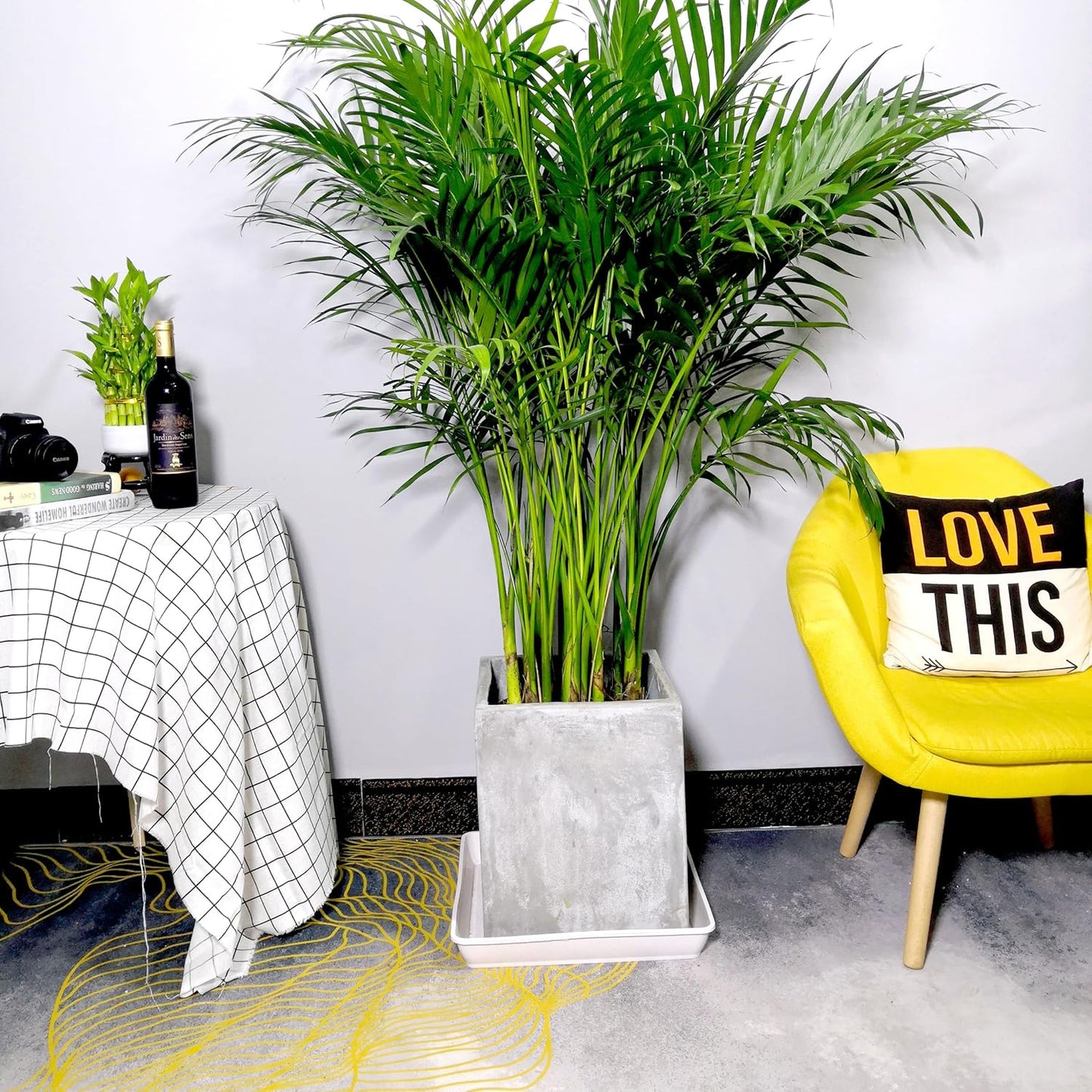 5 Pack Square Plant Saucer 8 Inch, Plant Water Catcher Tray, Pot Saucers for Plants，Heavy Plastic Plant Trays for Pots Pots Base Plant Saucers for Indoors and Outdoors.