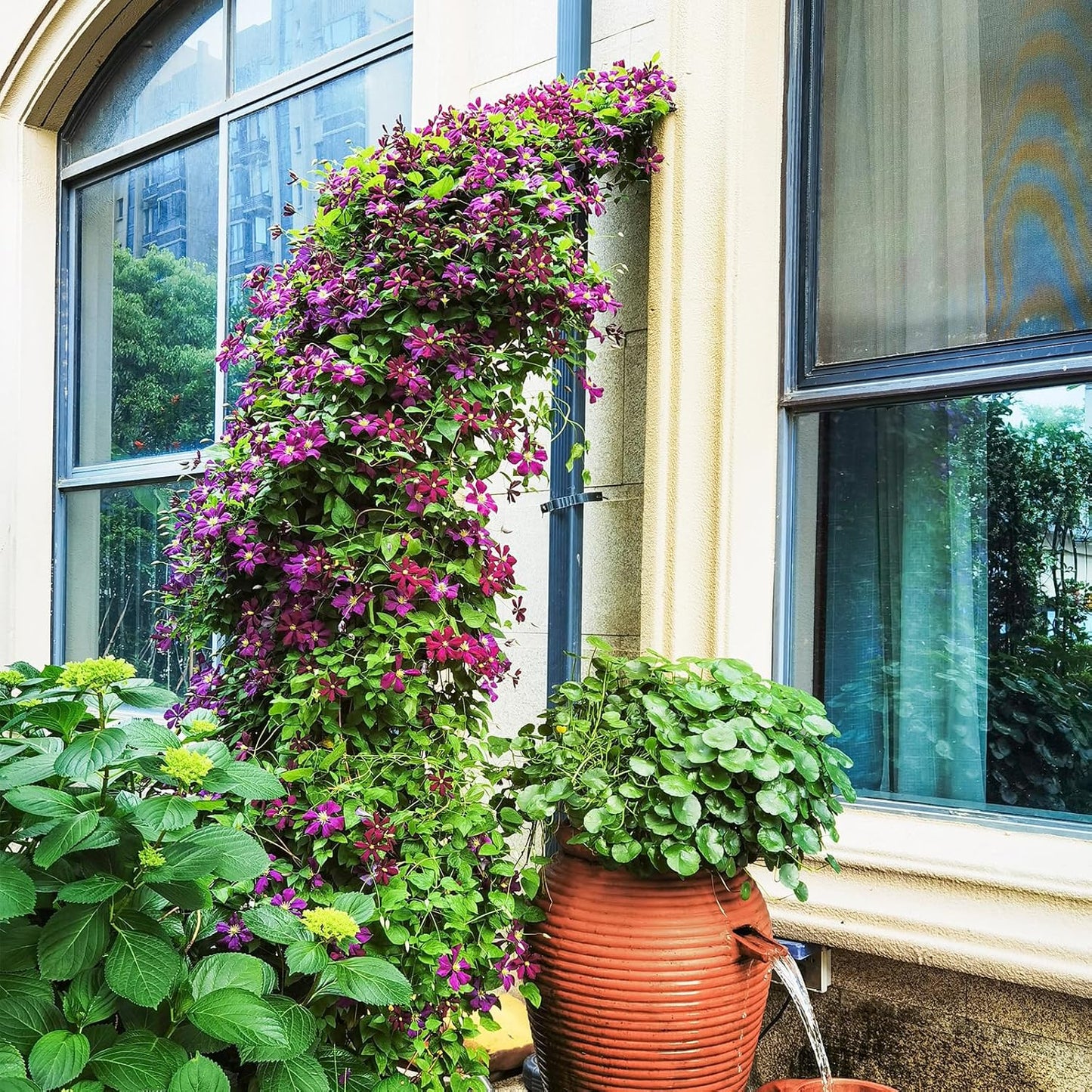 IRONMAX Garden Arch, Heavy Duty Galvanized Steel Arbor w/ 7 Sizes & Metal Flower Leaf Decoration, Outdoor Garden Trellis for Climbing Plants Rose Vines & Wedding Party Ceremony